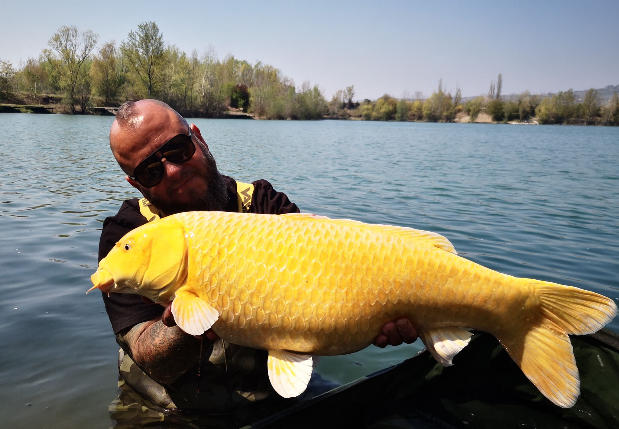 Catch & Release Karten für Gastangler 10ha Teich mit schweren Karpfen