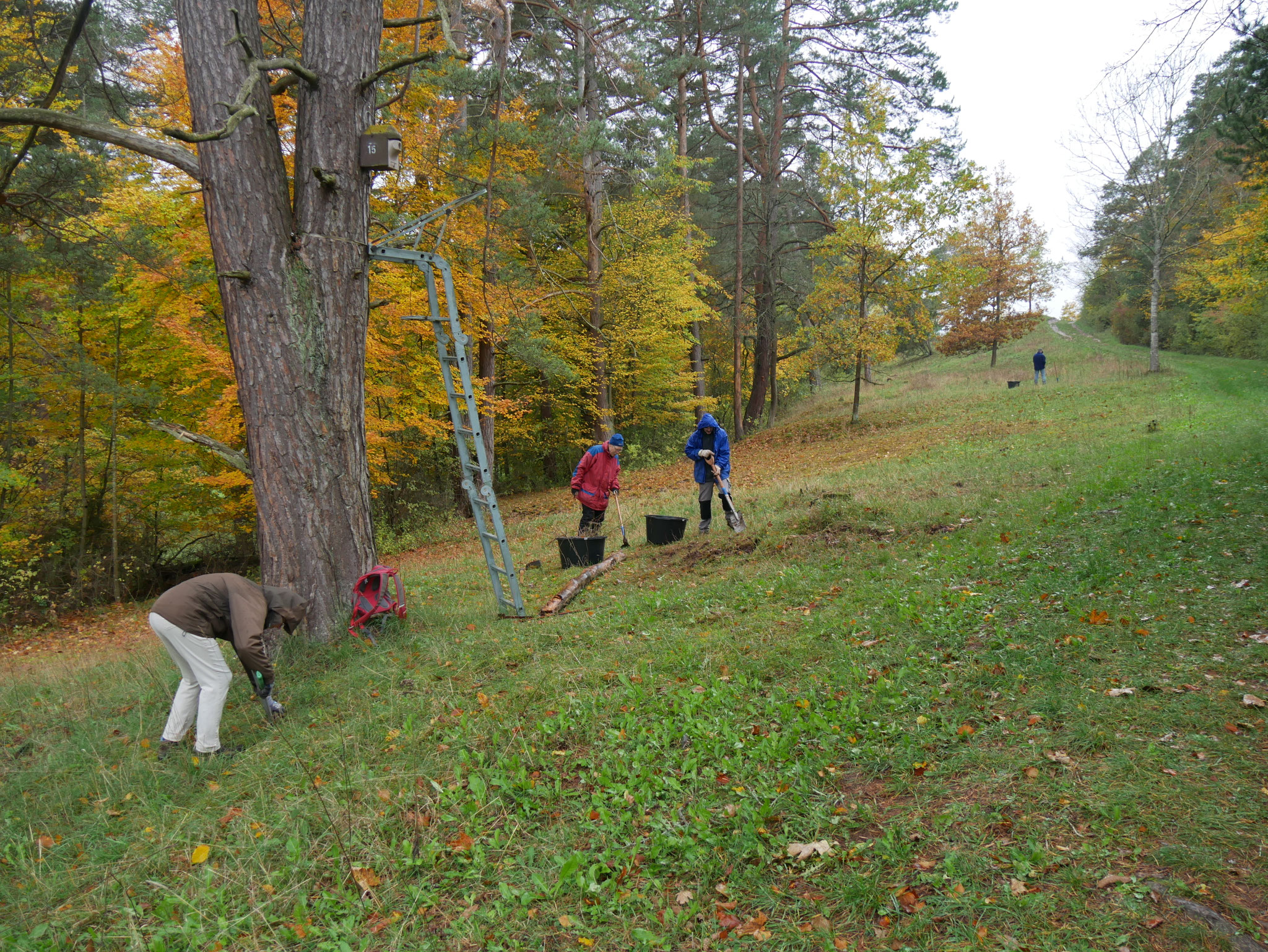 Die Aktiven des Schwarzwaldvereins Gärtringen haben wieder tolle Arbeit geleistet! Copyright: Yannick Mauch.
