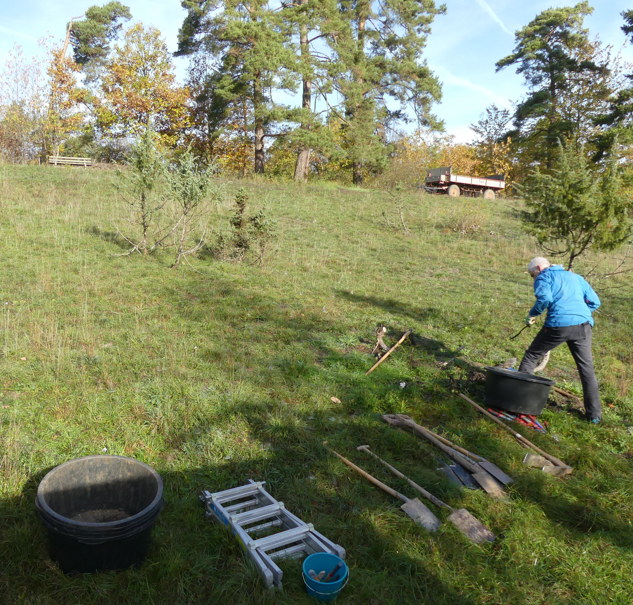 Beim Landschaftspflegetag an den Kreutäckern wurden wieder viele Gehölze aus dem Magerrasen ausgegraben.