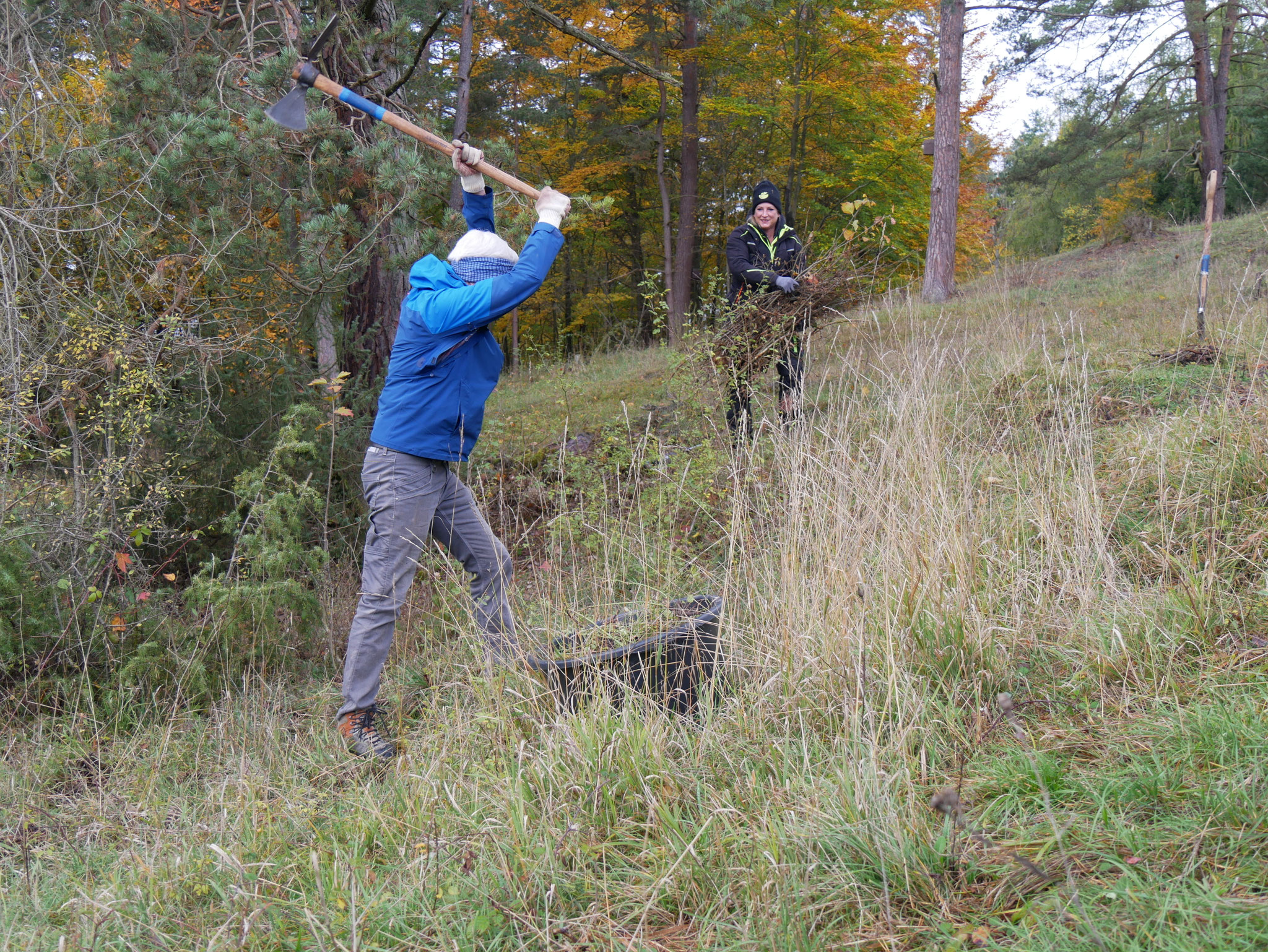 Mit Hacken und Rodespaten ging es den Wurzeln an den Kragen. Copyright: Yannick Mauch.
