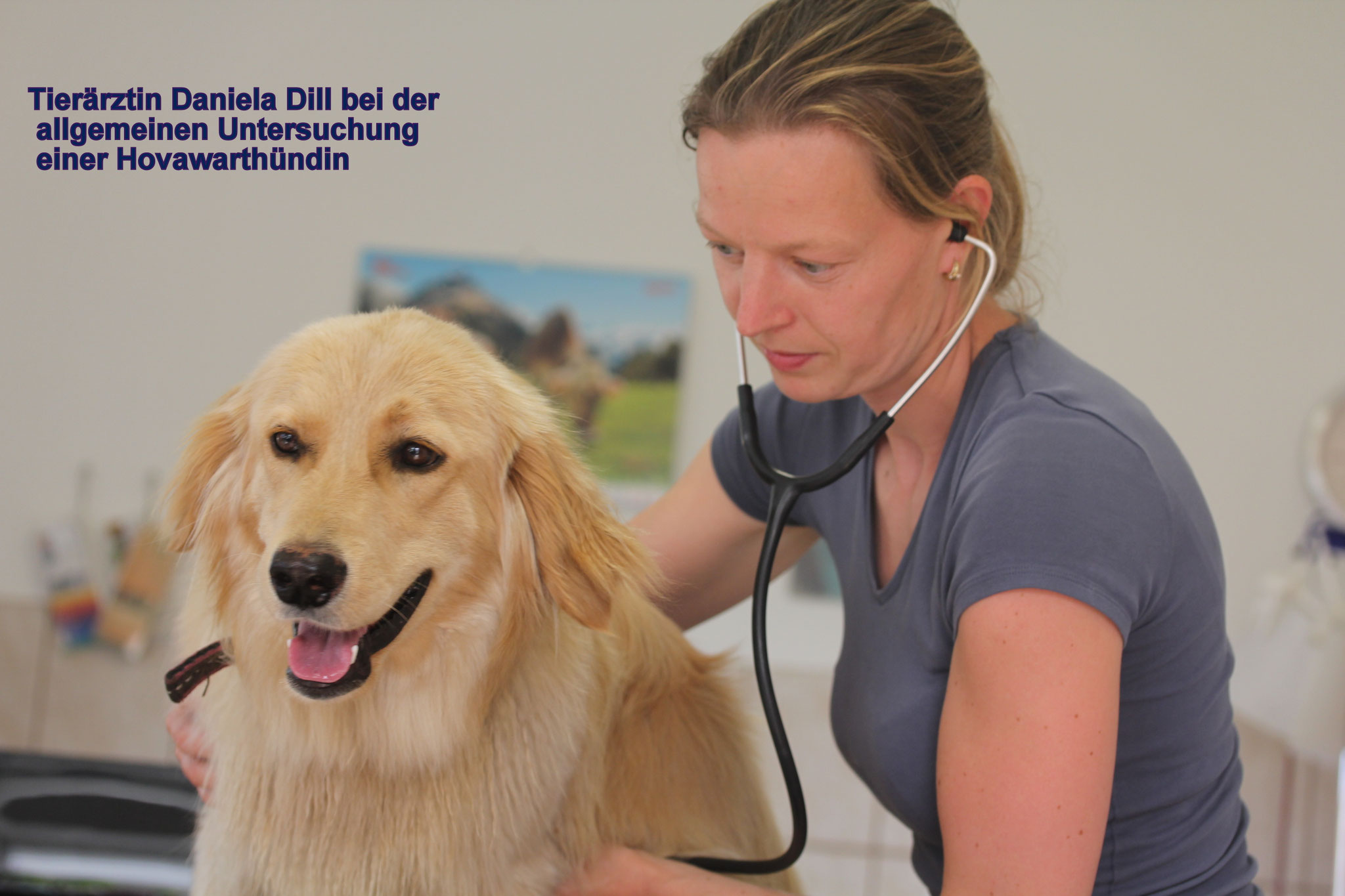 allgemeine Untersuchung