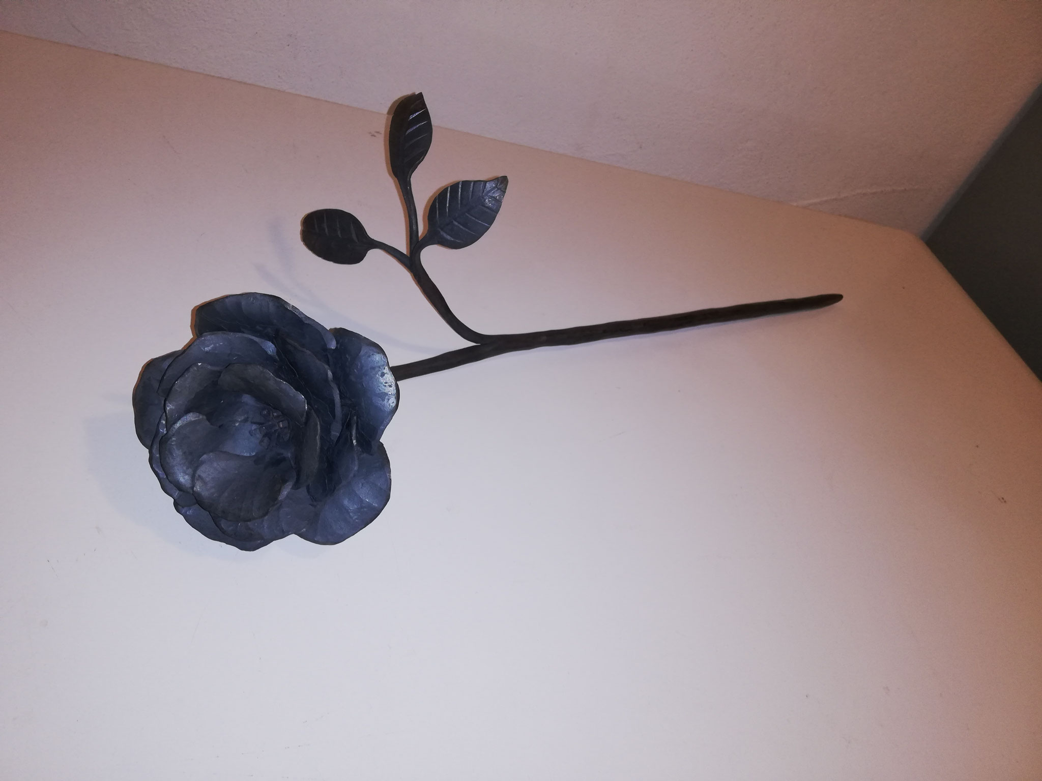 Eine schwarze Rose