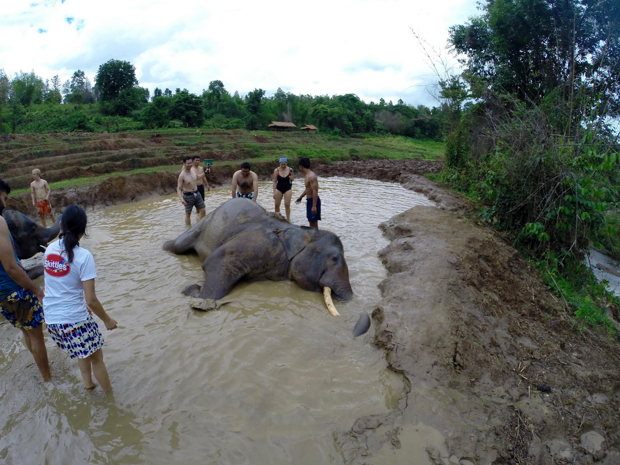 Elephant Jungle Sanctuary - Mud Spa