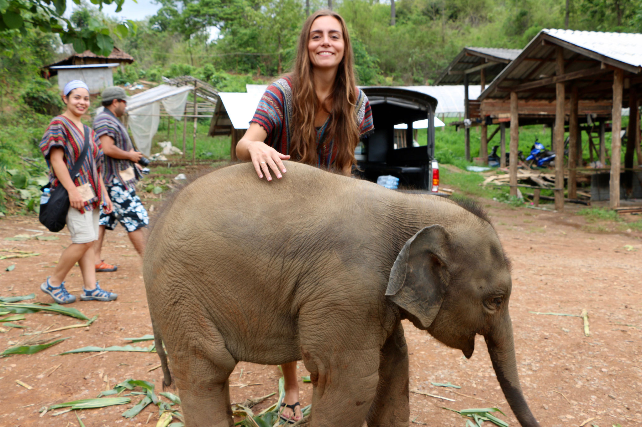 Elephant Jungle Sanctuary - Das Baby :)