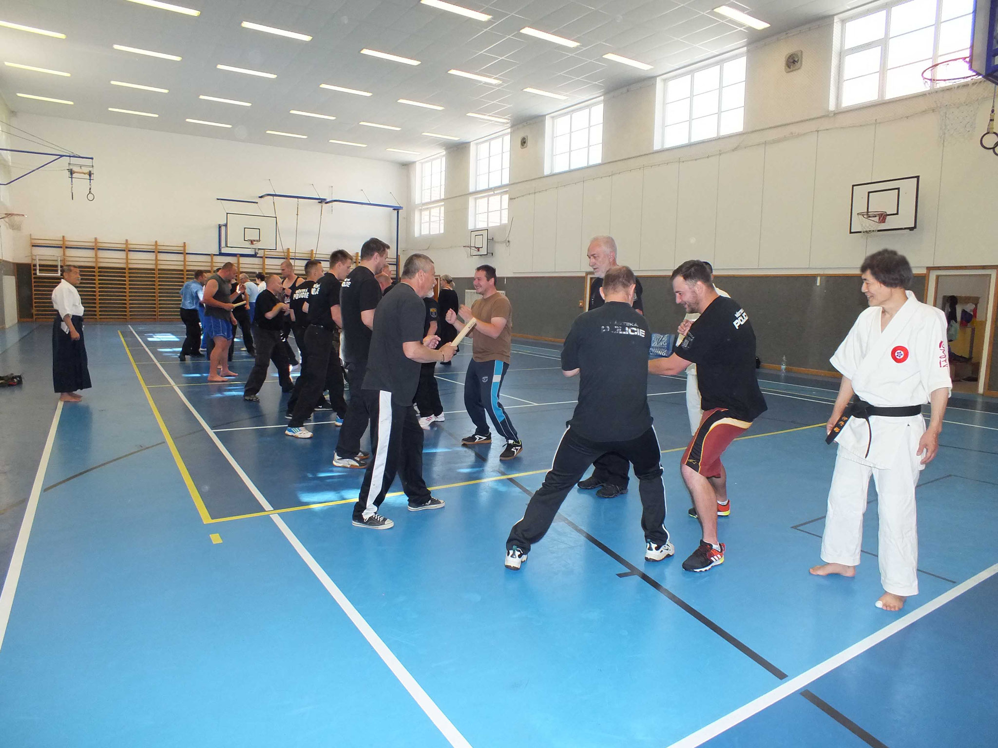 Introducing KOBUDO - hikoryu-taijutsu ページ！日子流体術