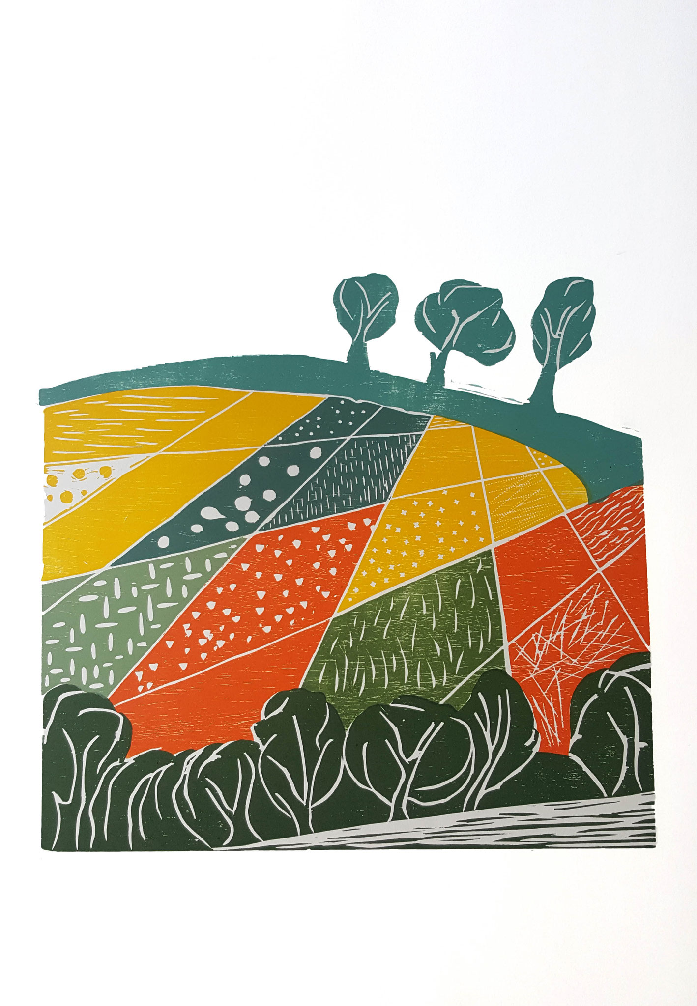 "Herbstacker"  Holzschnitt 2015 Auflage: 25 Drucke 28 cm x 42 cm  auf 70 cm x 50 cm Aquarellpapier