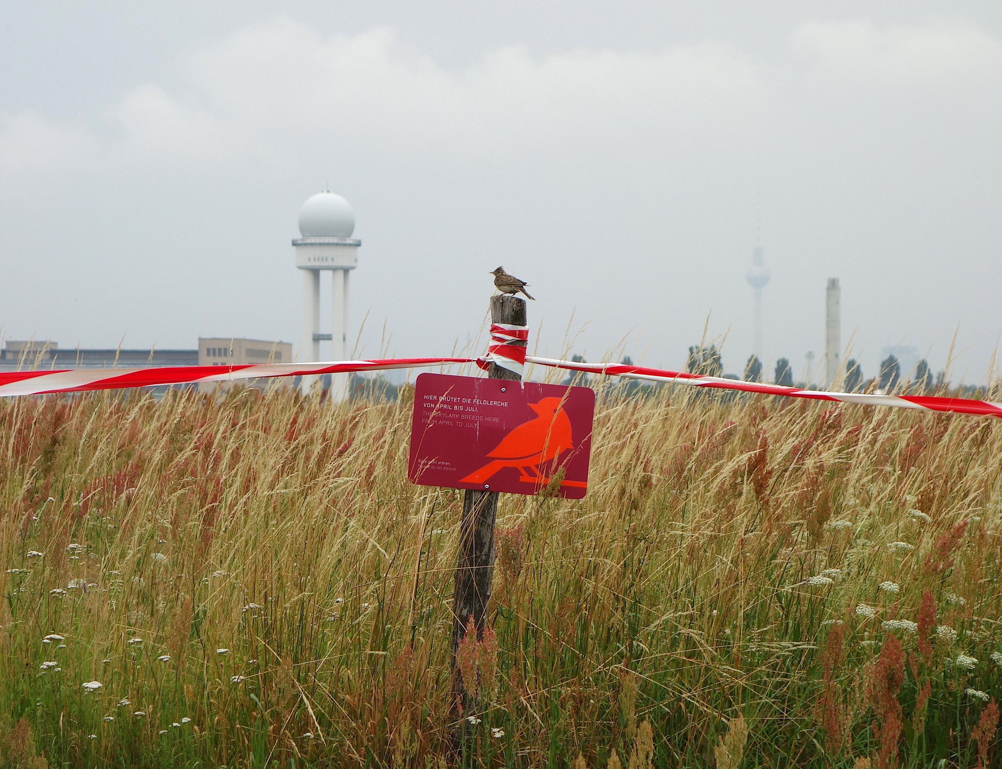 Tempelhofer Feld, Berlino