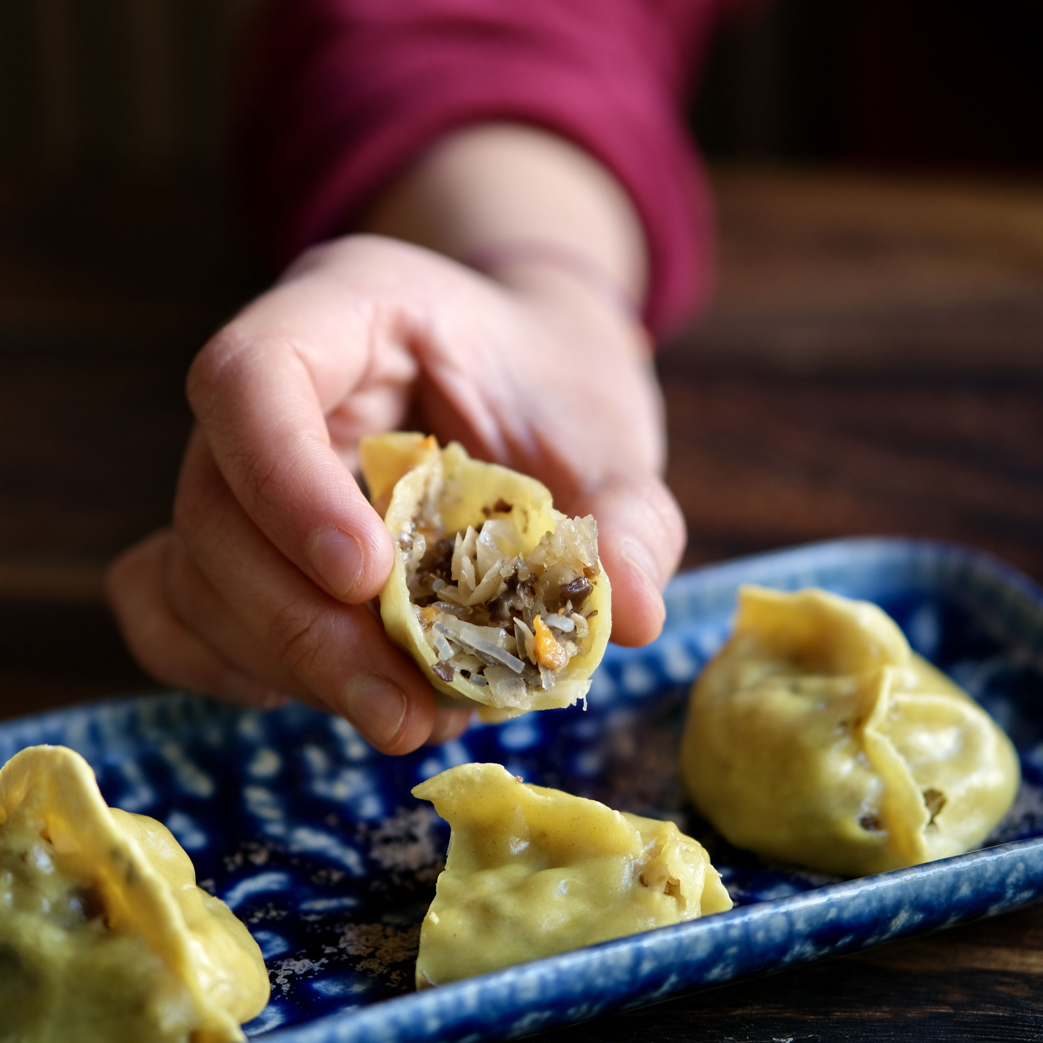 Dumplings Lecker Vegan