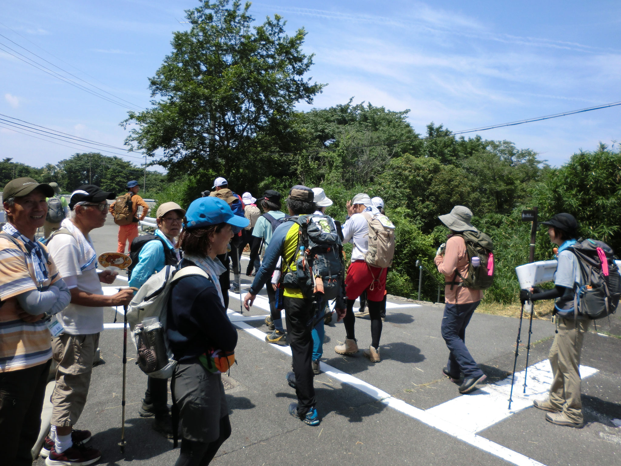 般若の滝、南陽院の清滝を目指して下山