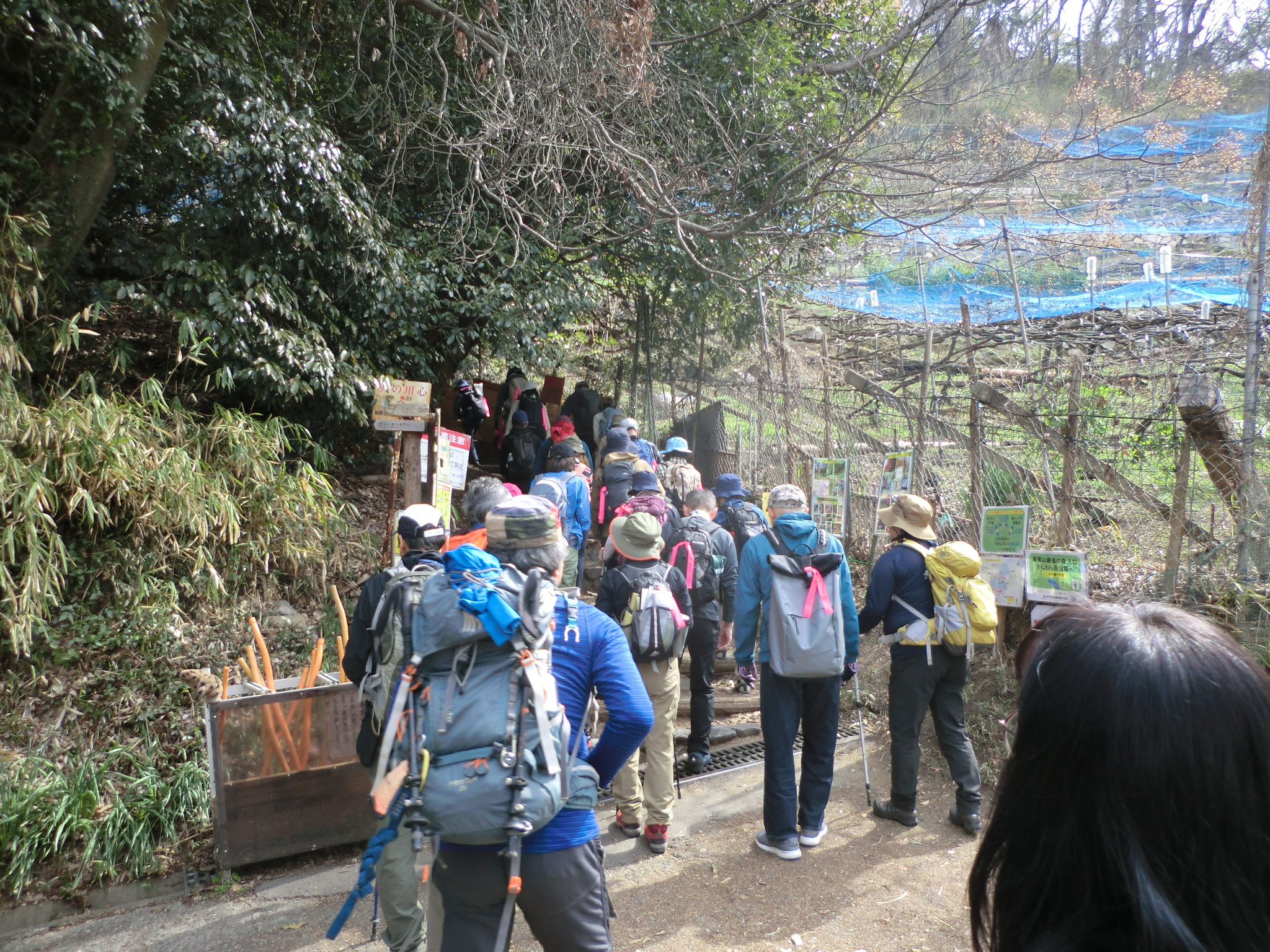 高尾山創造の森登山口から出発