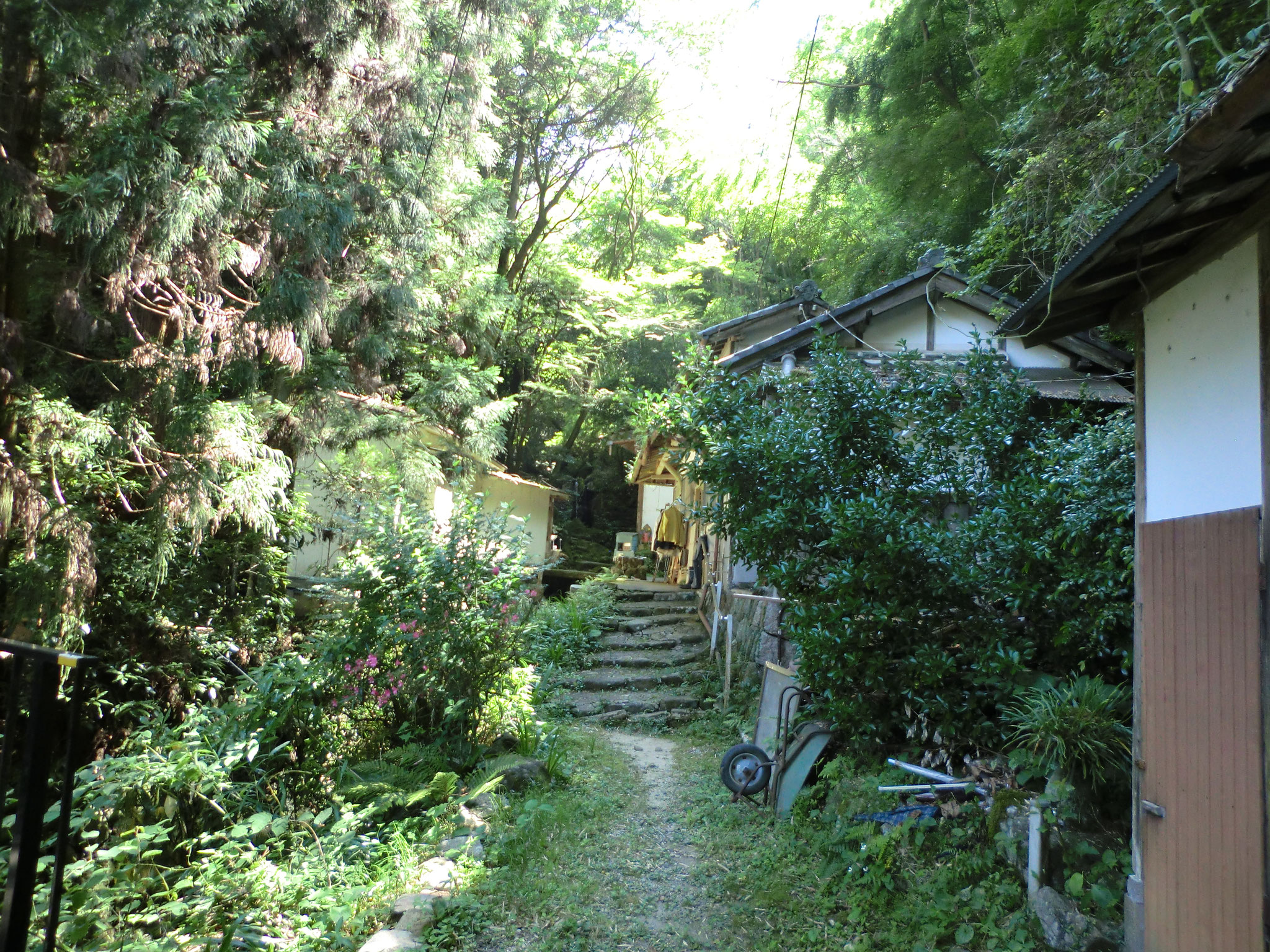 般若の滝