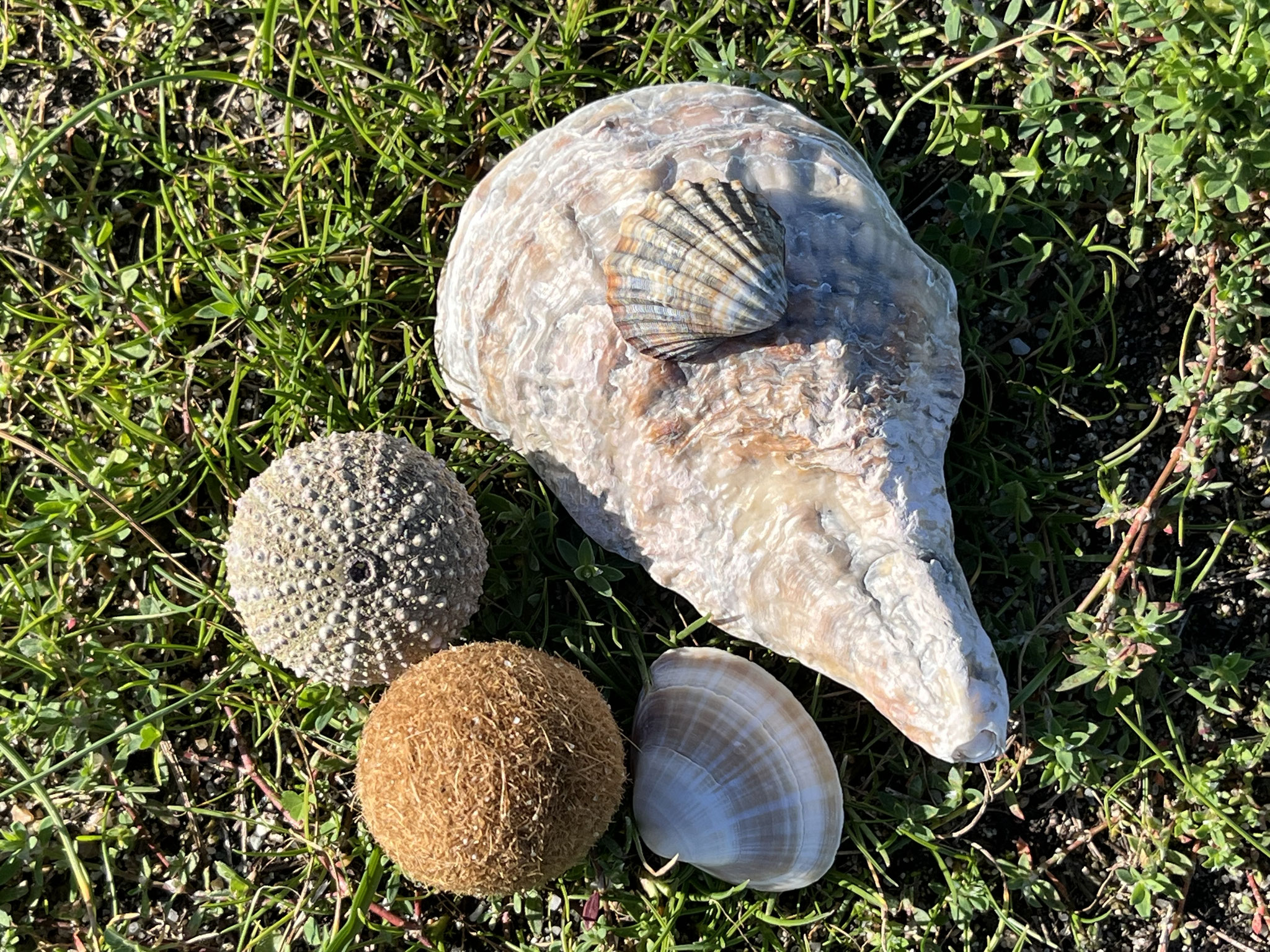Die Natur hat so viel zu bieten und lässt einen immer wieder staunen.