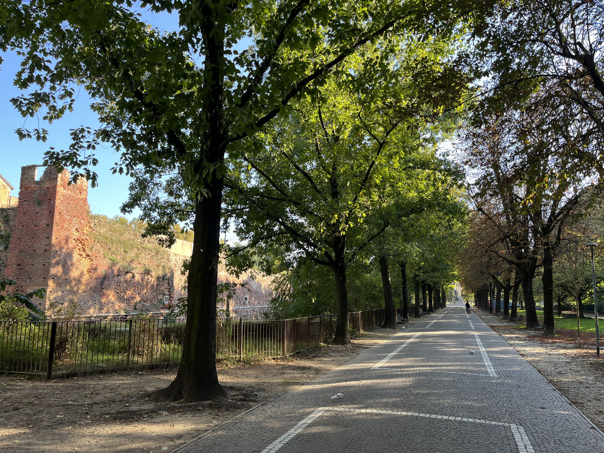 … grosse Grünanlagen …