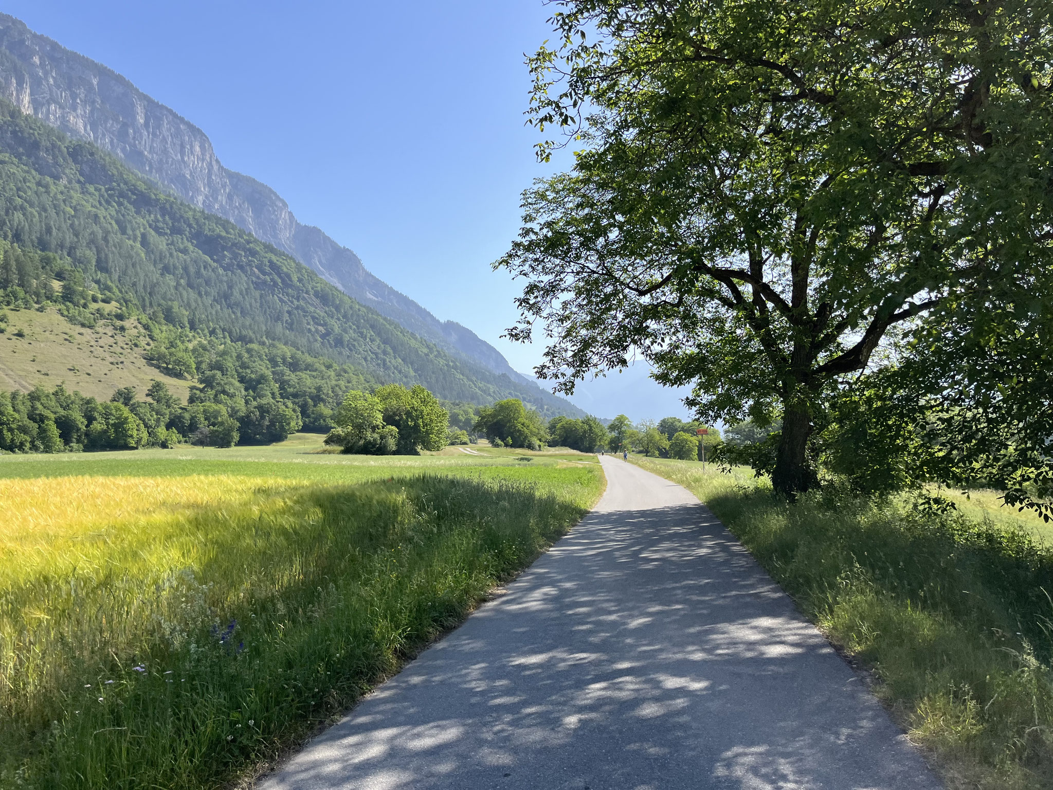 Vom sehenswerten Dorfkern Tamins gehts dann auf der Nationalen Veloroute 2 hinab in die weite Ebene …