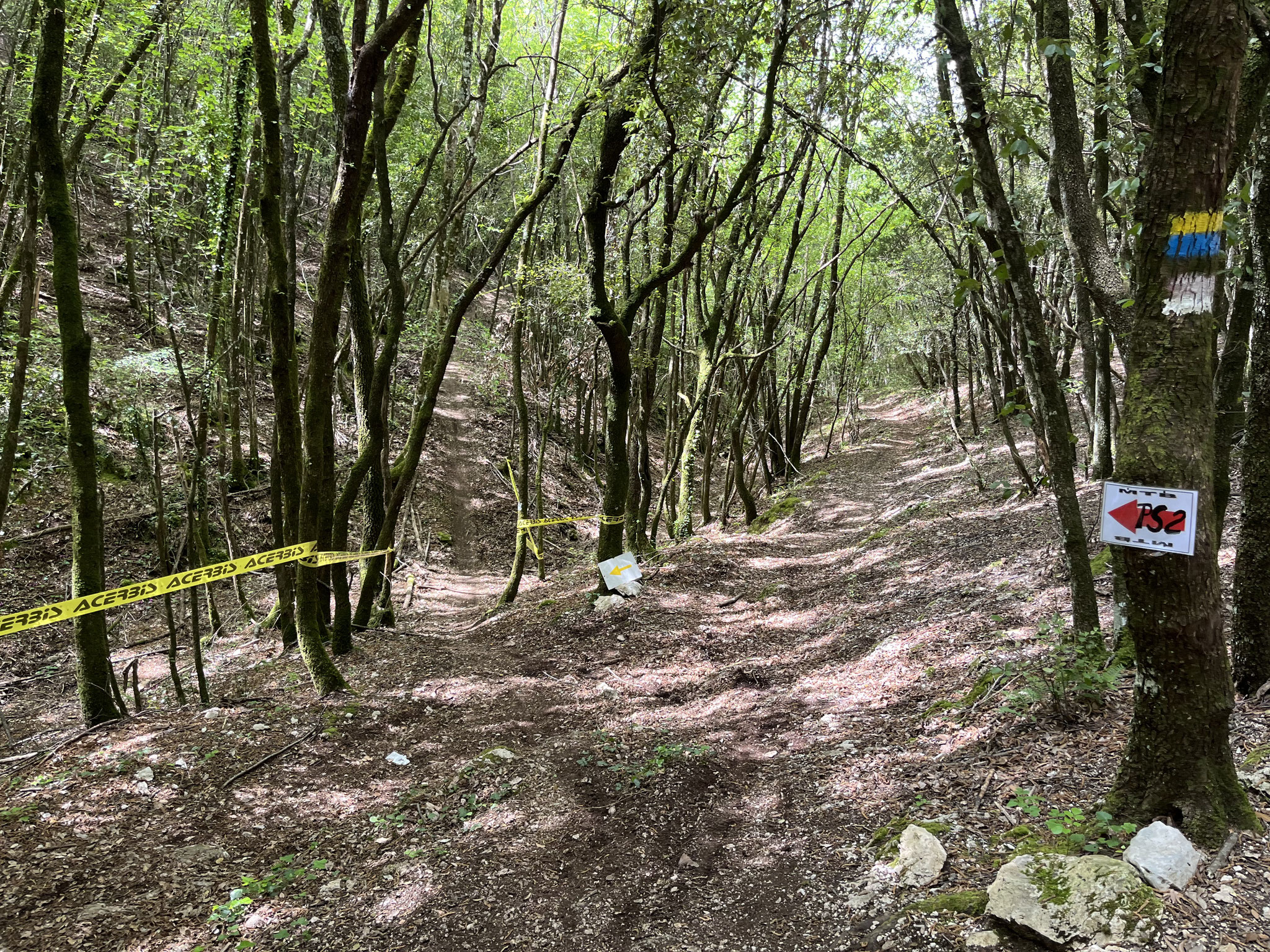 Der ganze Berg ist von Bikerouten durchzogen, es hat fast mehr Downhill-Biker als Wanderer. Man ist hier tolerant und ist für ein "Miteinander" statt "Gegeneinander".