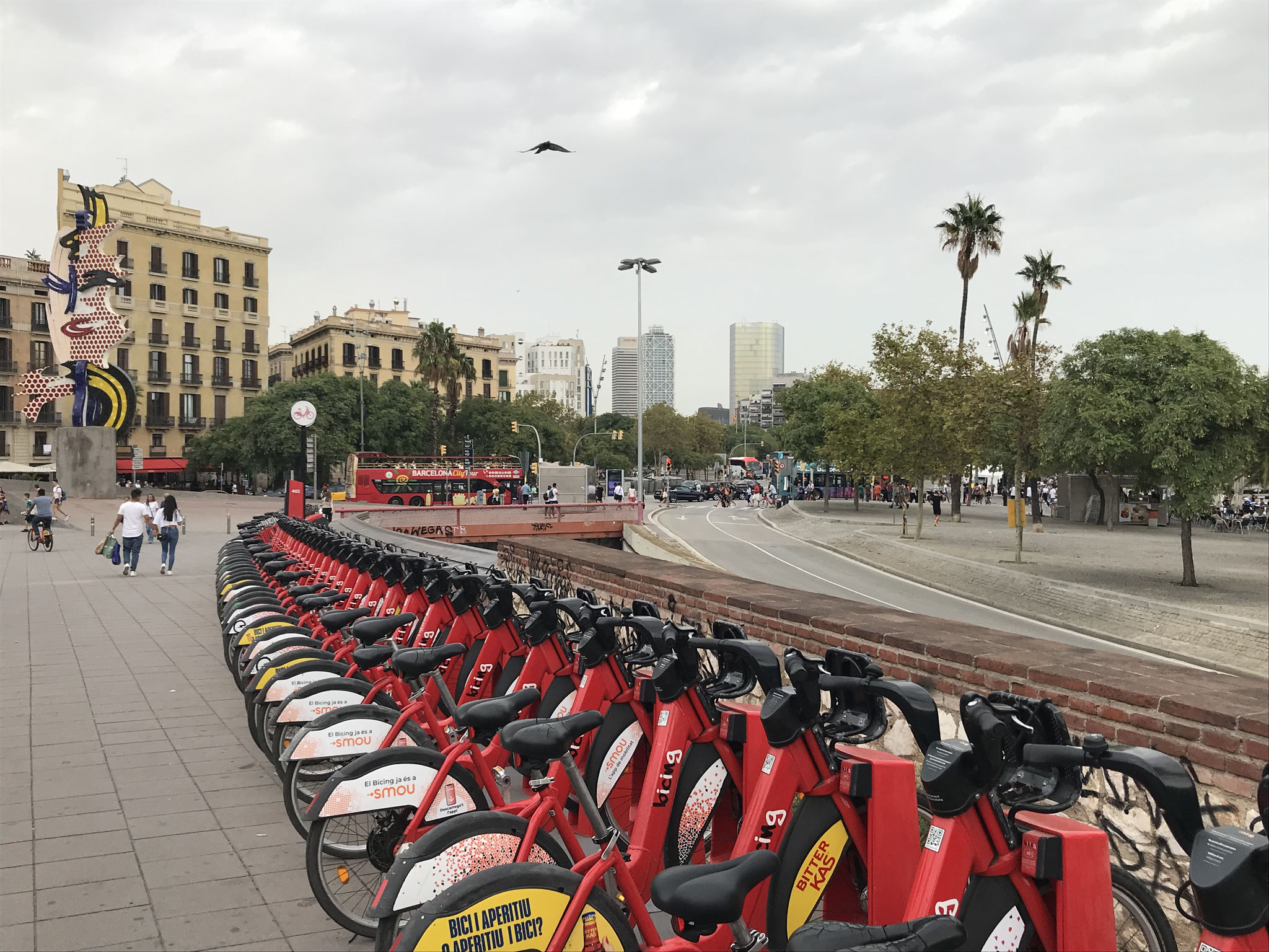 Die Mietfahrräder werden hier in Barcelona wirklich gebraucht.