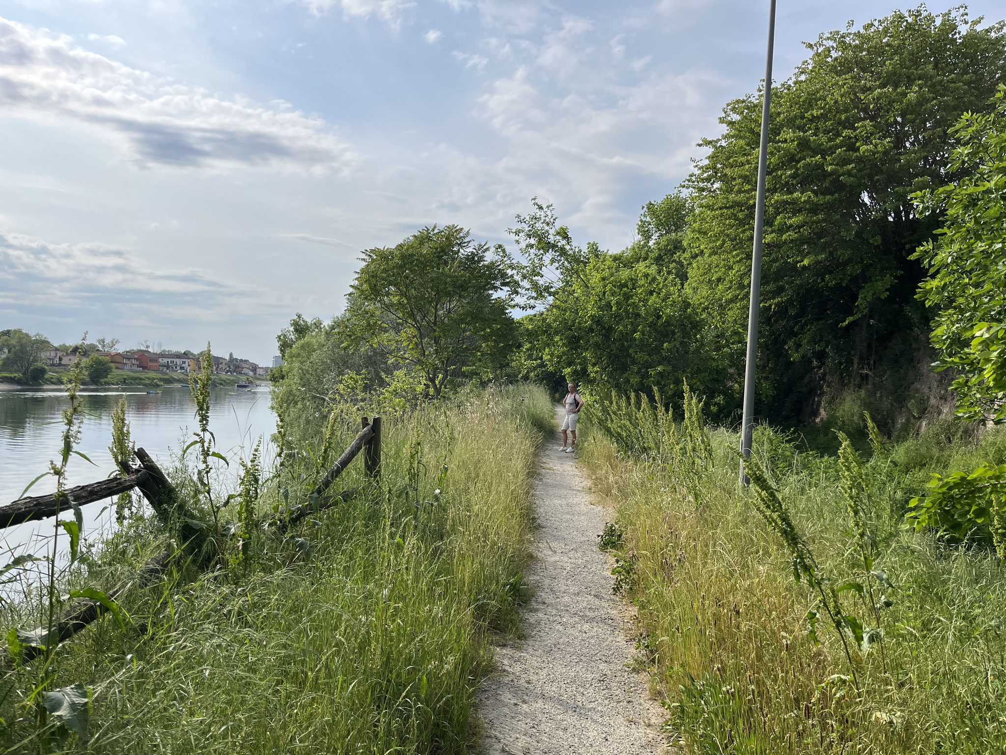 Wir kommen zur Mündung des Kanals in den Ticino. Ein schön gepflegter Wanderweg sieht leider anders aus.