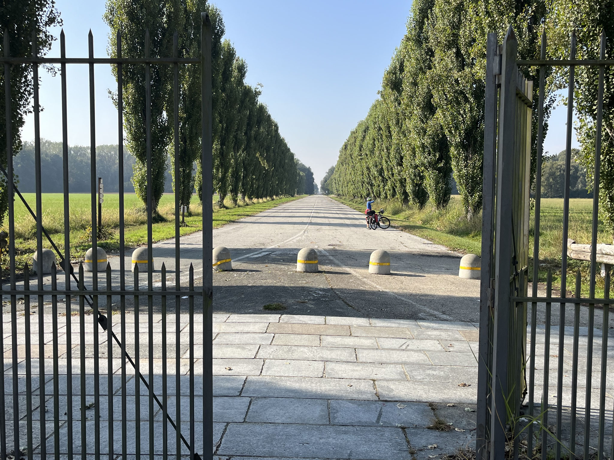Der Schlosspark ist riesig und diese Allee führt 5km schnurgerade in die Weite.