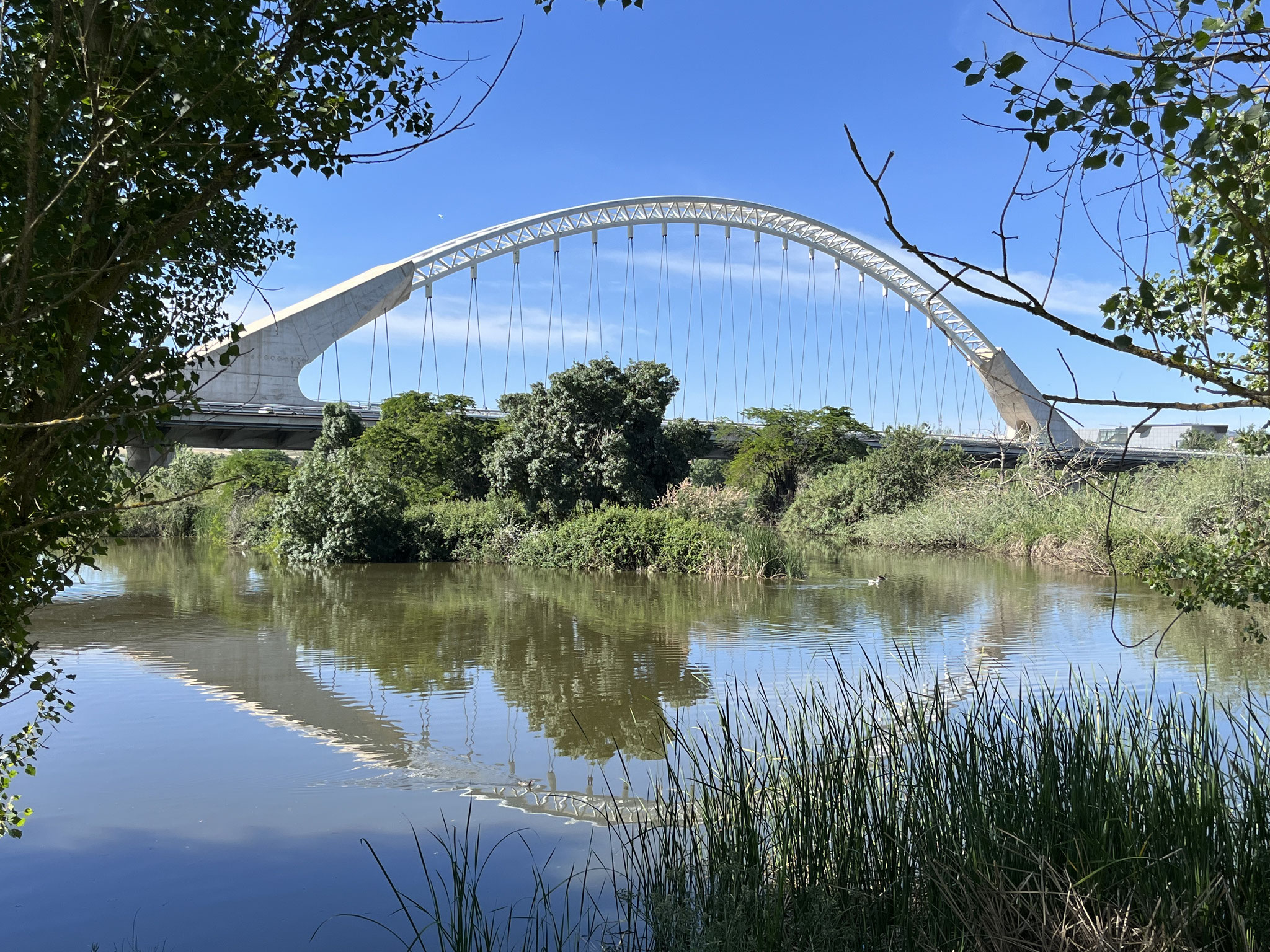 Die Lusitania Brücke von Calatrava gefällt uns sehr!