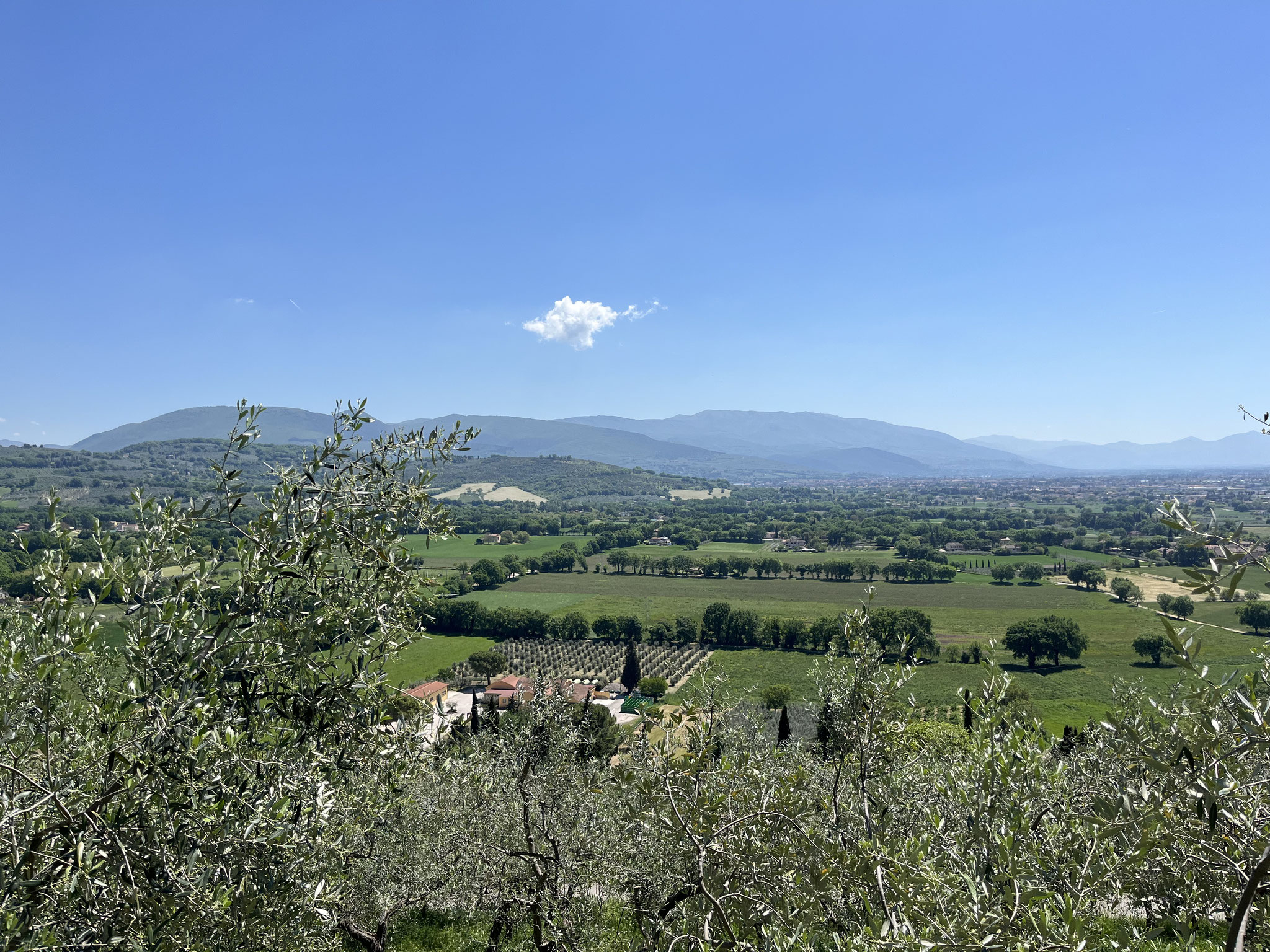 Die hügelige und grüne Landschaft ist wunderschön und gefällt uns sehr.