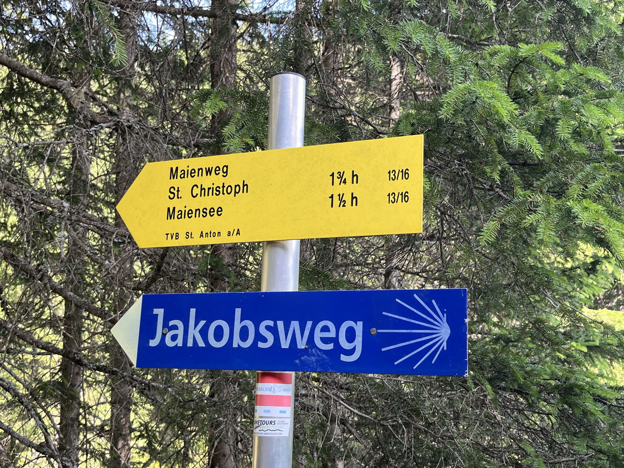 ... wir sind froh bald im Wald wandern zu können. Auf dem Jakobsweg geht es auf einem Pfad steil bergauf, ...