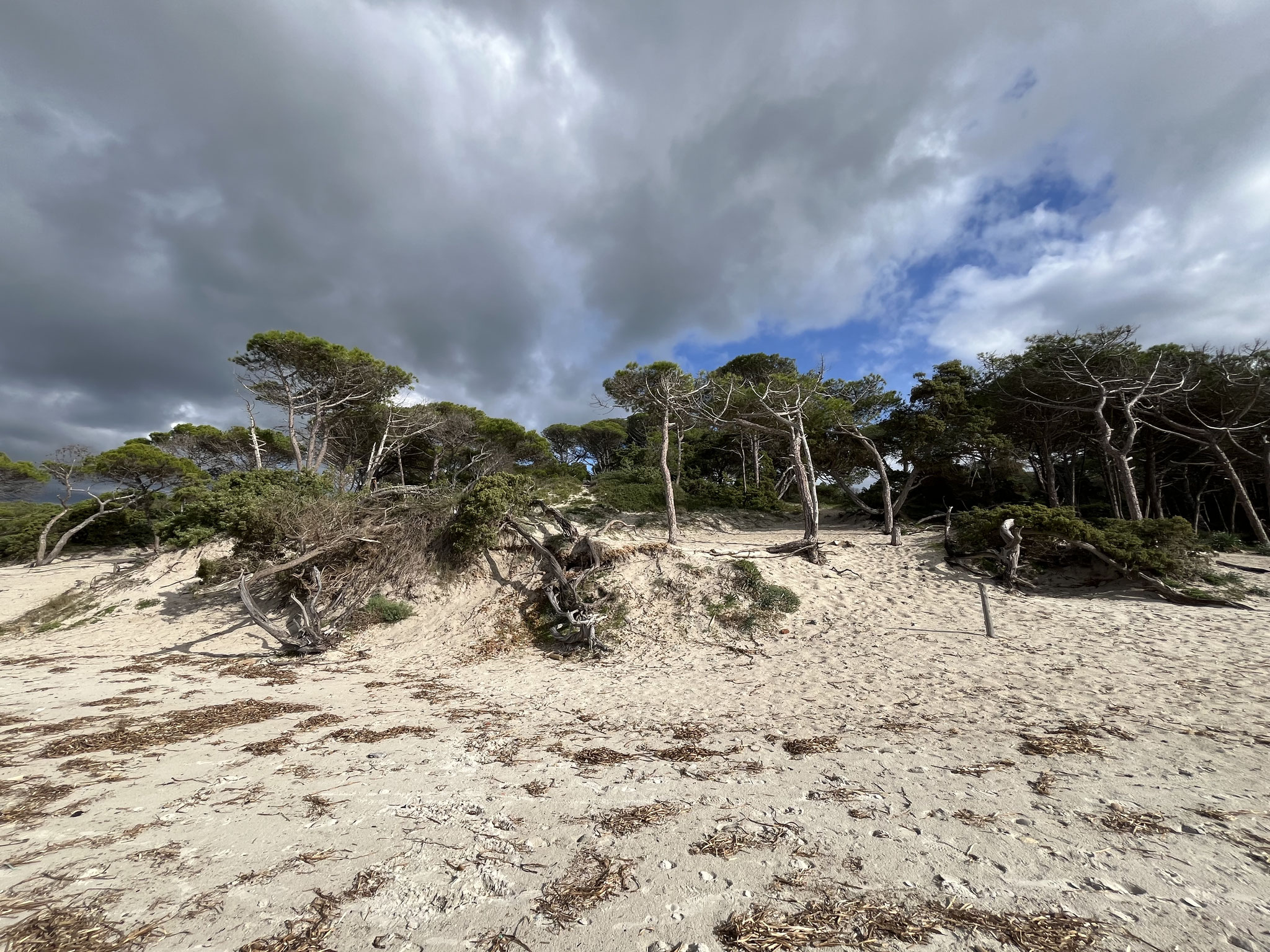 Wir kehren zurück ins Hotel und können einchecken. Am Nachmittag entscheiden wir uns für einen Strandspaziergang.