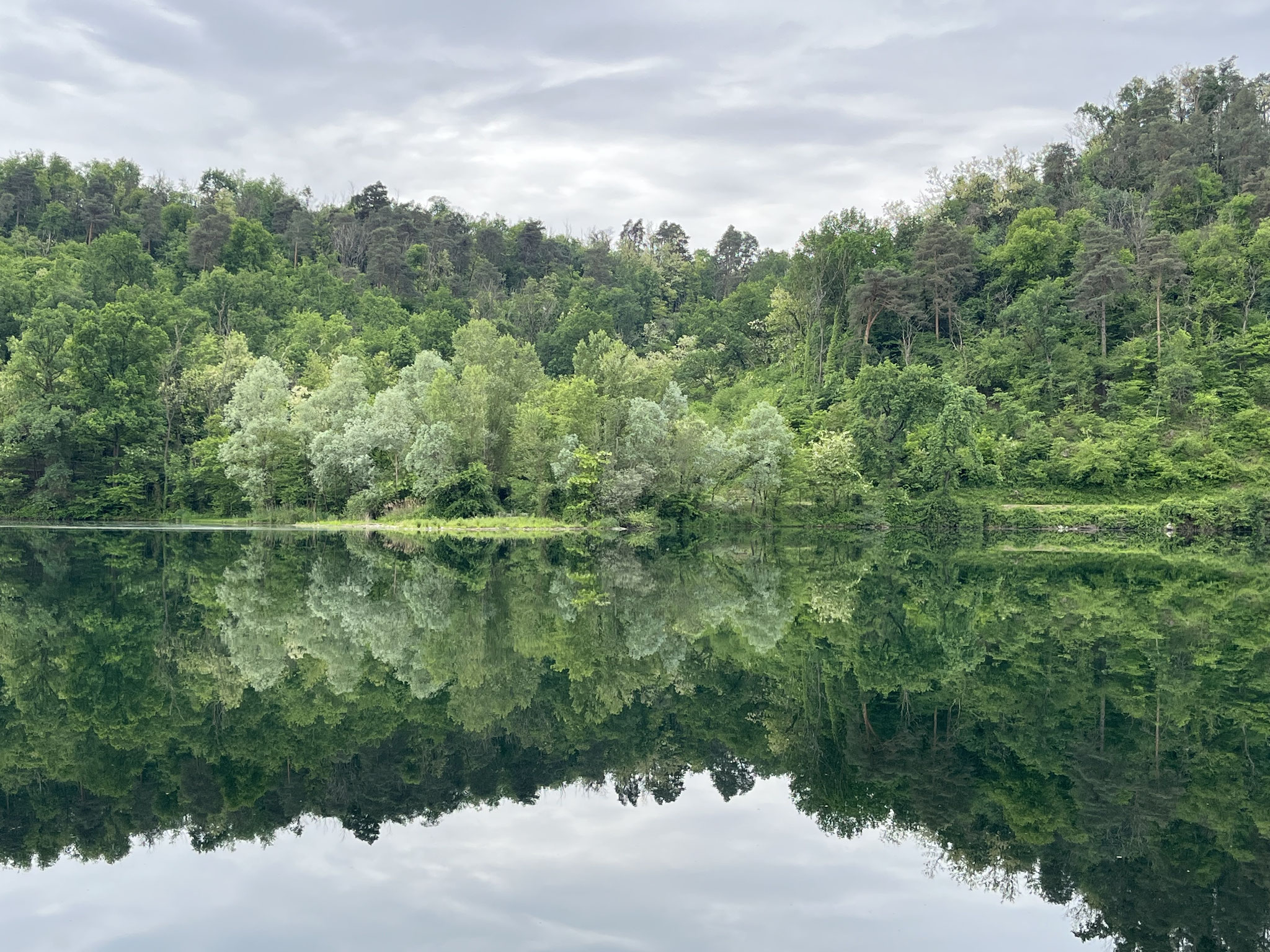 Kurz darauf mündet der Kanal in den Ticino, der hier sehr natürlich fliesst und viele Mäander aneinander reiht.