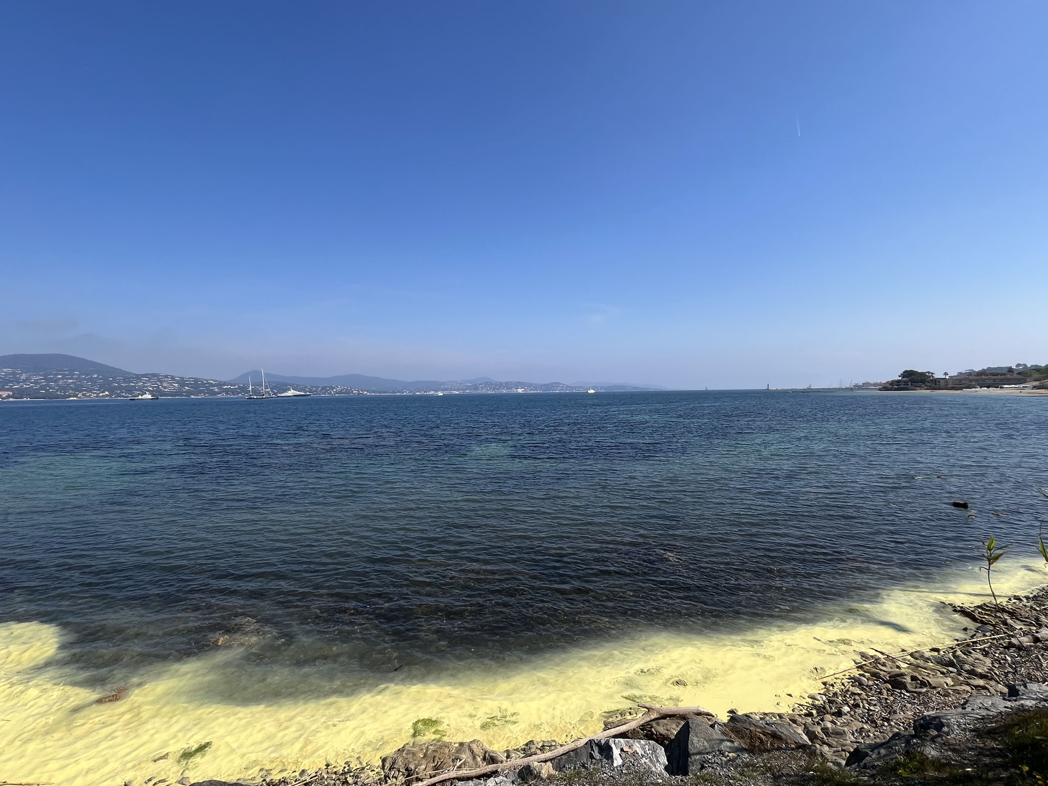 Wir sind in Port Grimaud und blicken über den Golf von Saint-Tropez. Unmengen von Pollen färben das Meer goldgelb.