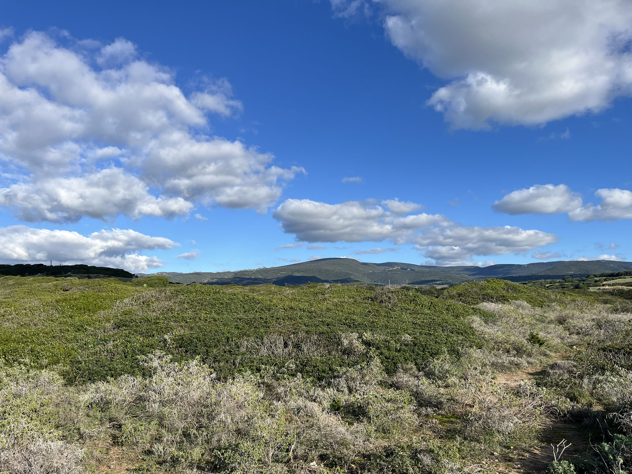Auch die grüne Landschaft mit der Macchia kann sich sehen lassen.