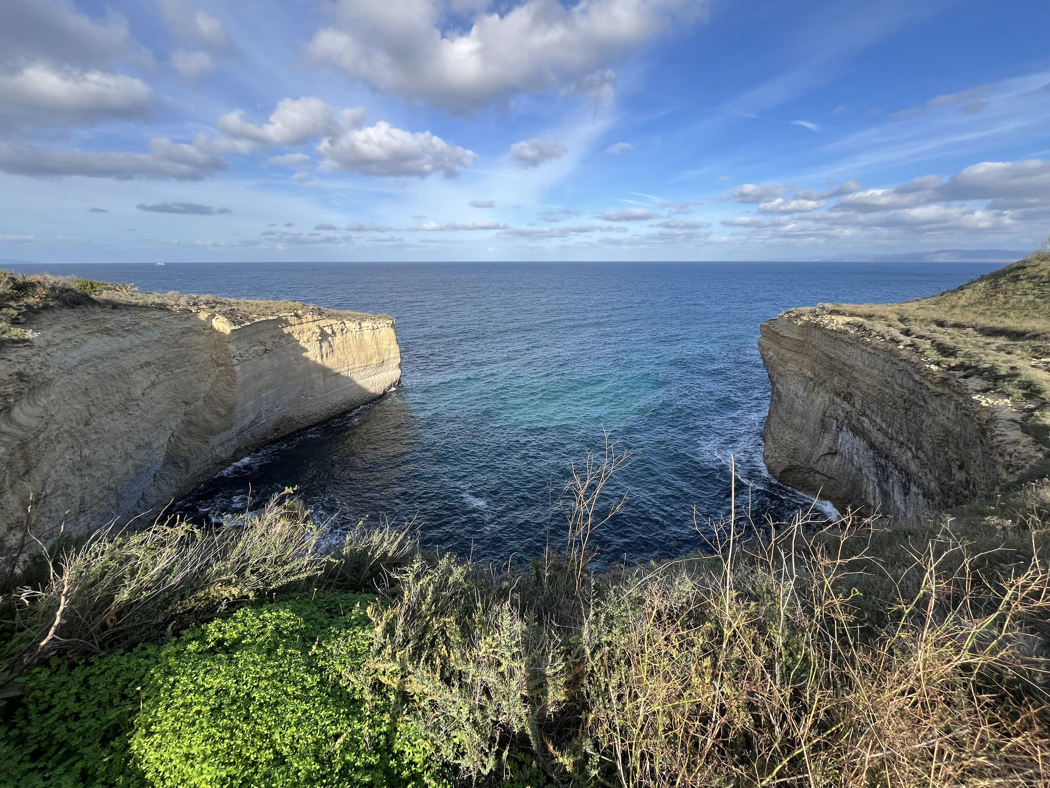 Durch schöne Pinienwälder und kurz von Porto Torres hinauf auf die Klippen.