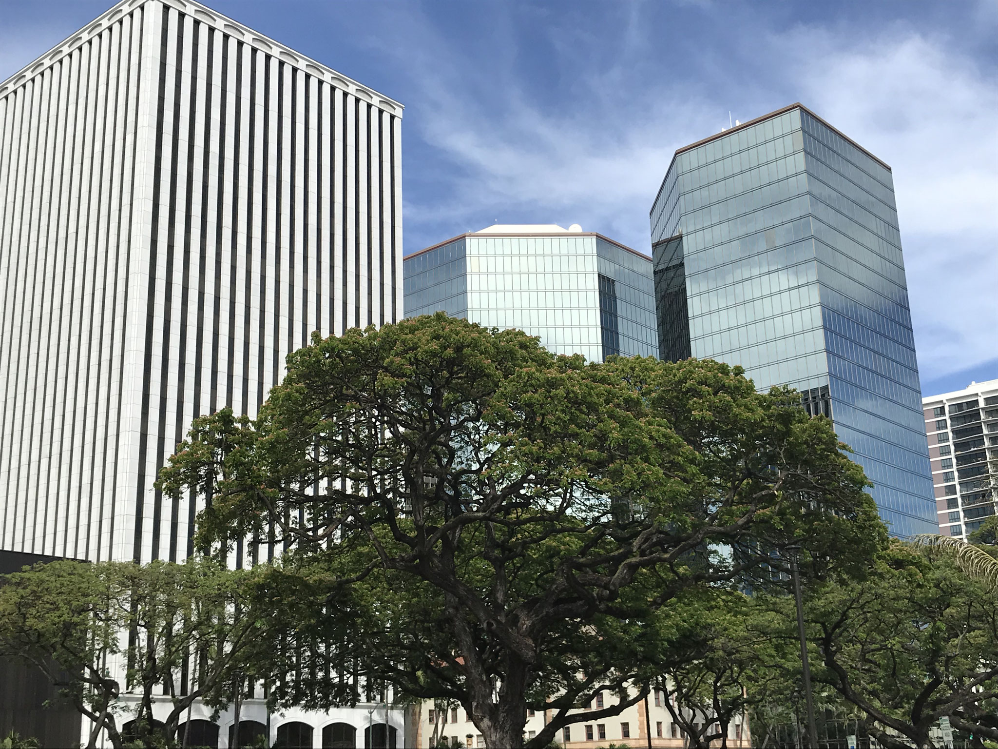 Walker Park in Honolulu Down Town