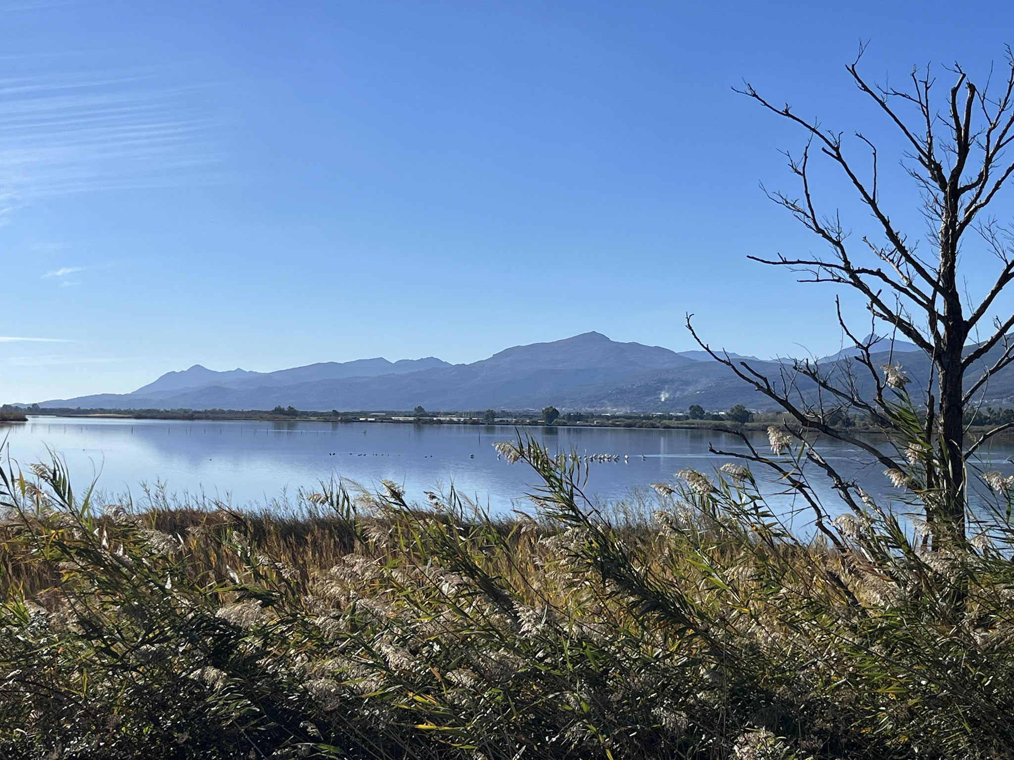 …der sich über 10km erstreckt und im Moment sehr viele Flamingos beherbergt.