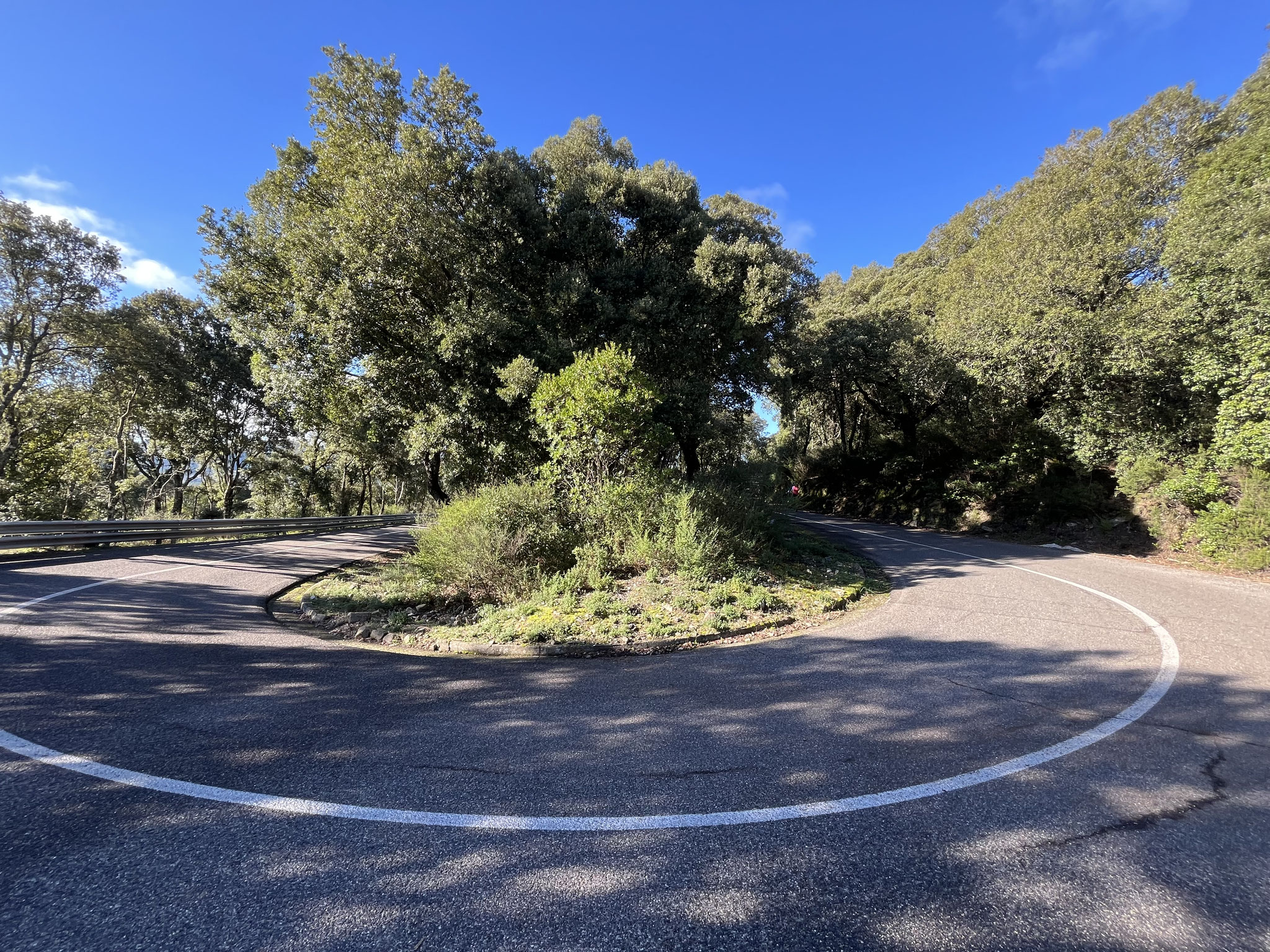 Danach heisst es kräftig in die Pedalen treten, denn einige Höhenmeter stehen an.