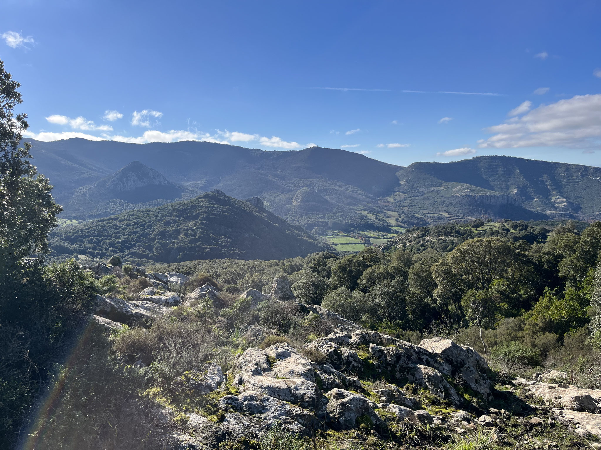 Die Strasse ist breit und mit sehr vielen Doppelleitplanken gesichert und führt leider fast nur durch einen dichten Eichenwald. Einen solchen Ausblick haben wir leider viel zu selten.