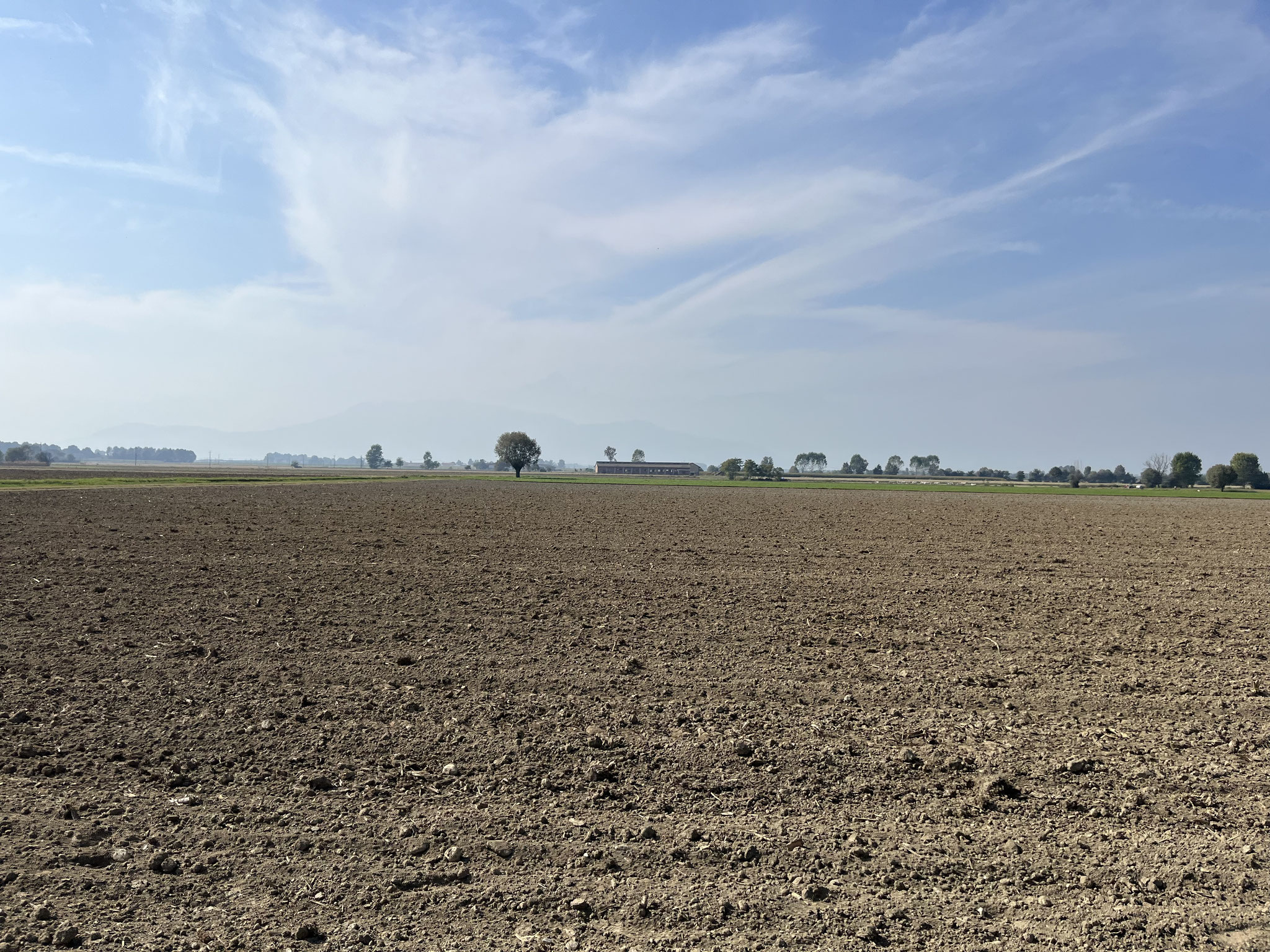 Wir befinden uns immer noch in der Poebene, wo sehr viel Landwirtschaft betrieben wird. Die Bauern können, in Bezug auf die Feldergrösse, aus dem Vollen schöpfen