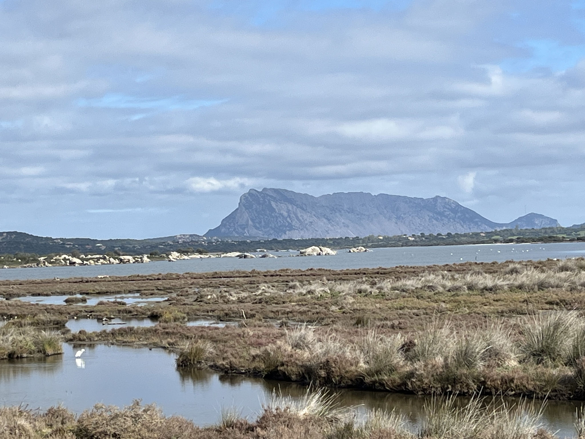 Nach San Teodoro fahren wir über eine Ebene mit Salzwiesen und vielen Flamingos. Im Hintergrund sehen wir schon den Riesenfelsen „Tavolara“.