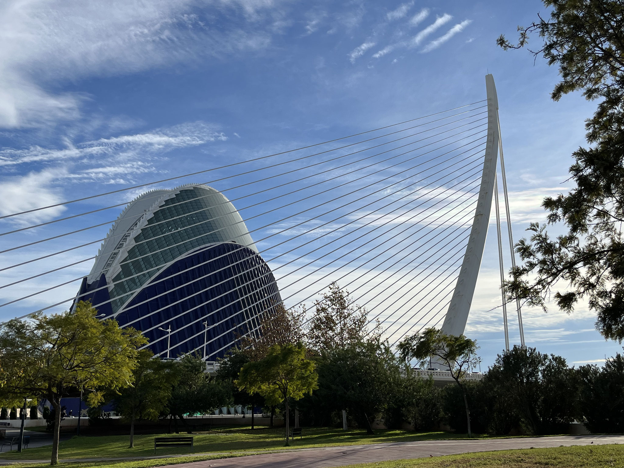 Nach dem Einchecken zieht es uns sofort runter zu den Parkanlagen mit den wunderbaren Bauten von Calatrava.