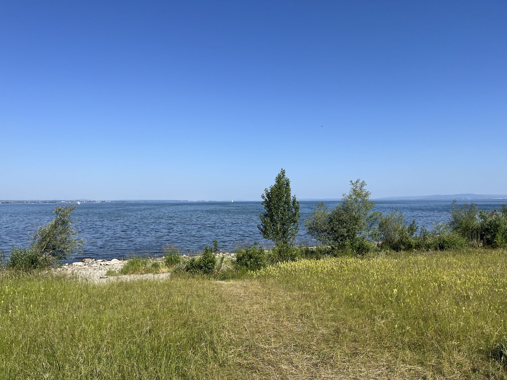 Noch gehts um dem Flughafen Altenrhein und wir stehen vor dem Bodensee.