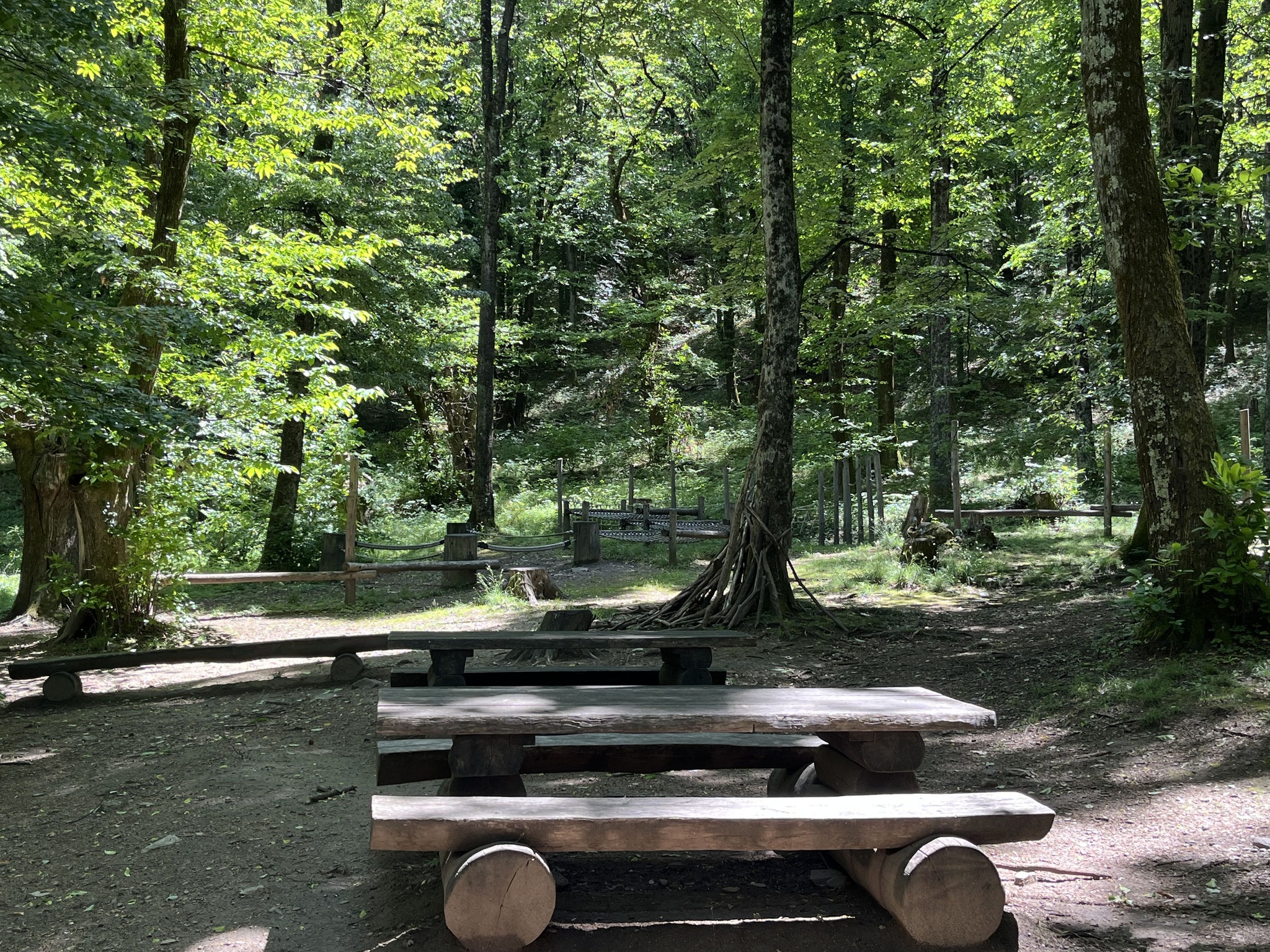 … über einige steinige Kehren hinauf in den Kastanien-Mischwald mit einem wunderschönen Rast/Spielplatz, wo wir unseren Lunch verzehren.