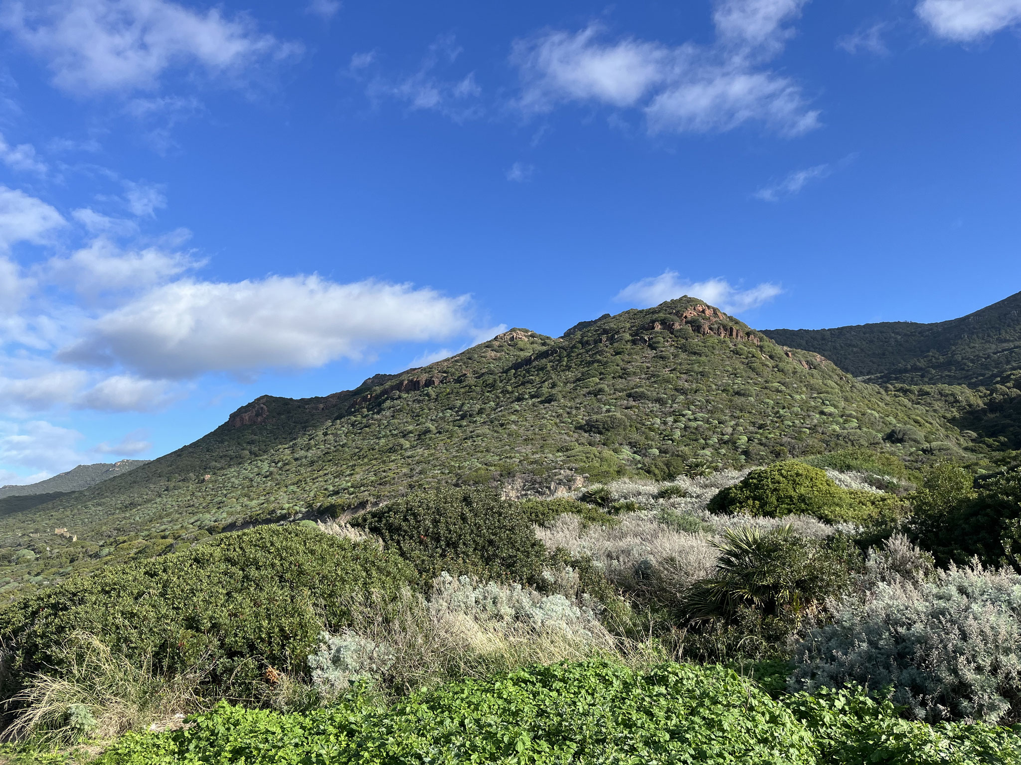 Die Landschaft mit den roten Felsen, den grünen Macchiabüschen und dem blauen Himmel ist fantastisch.
