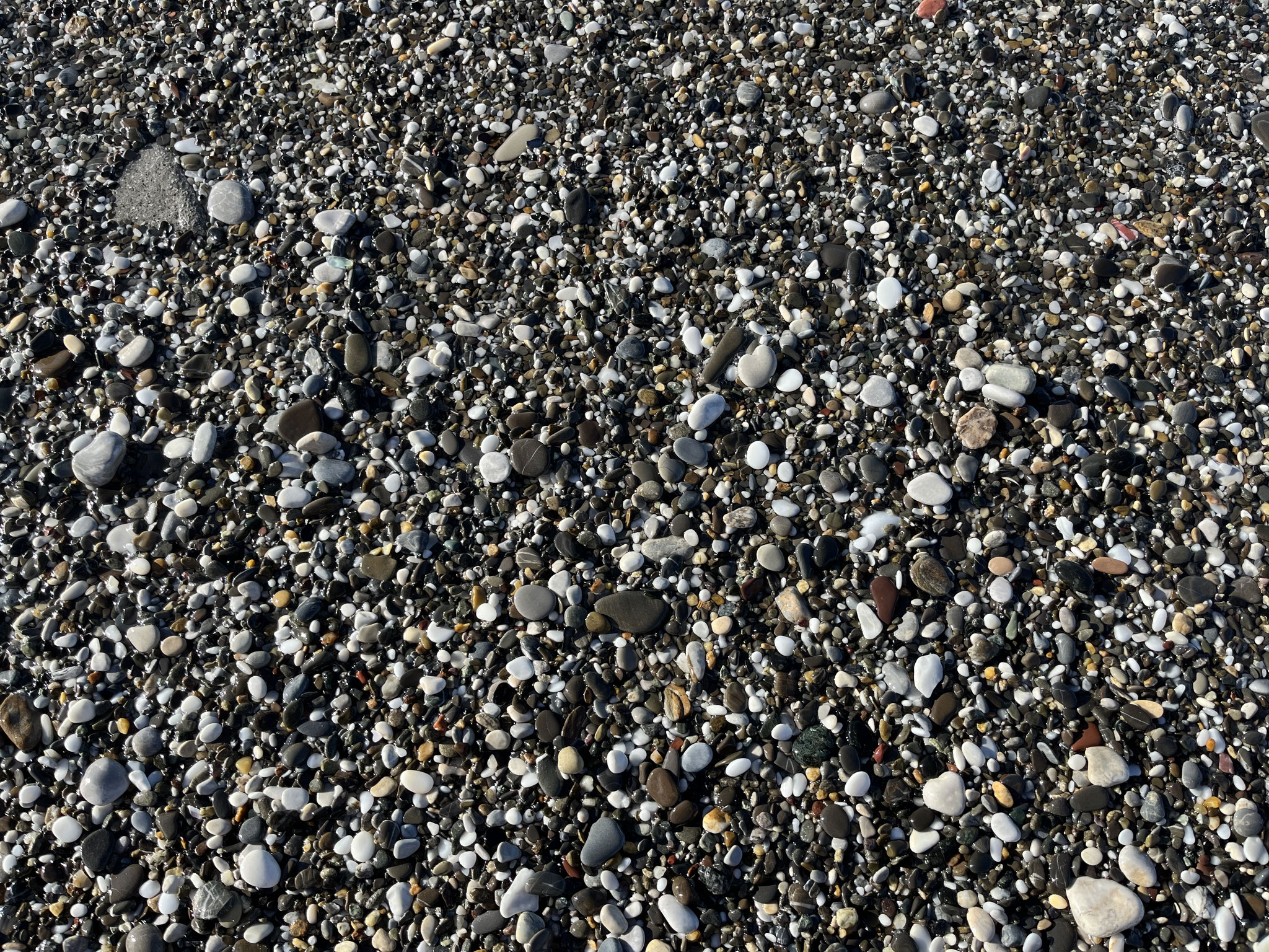 Wir schlendern am Strand entlang und sehen, …