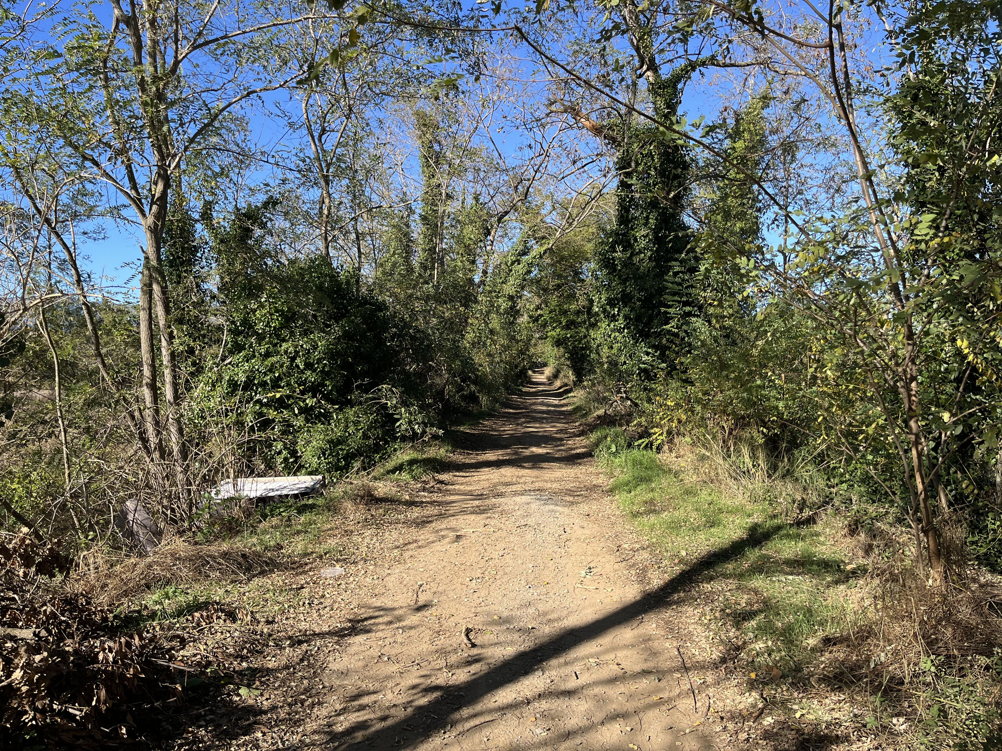 Danach folgen einige Kilometer auf stark befahrener Strasse, bevor wir auf Nebenstrassen ausweichen können.