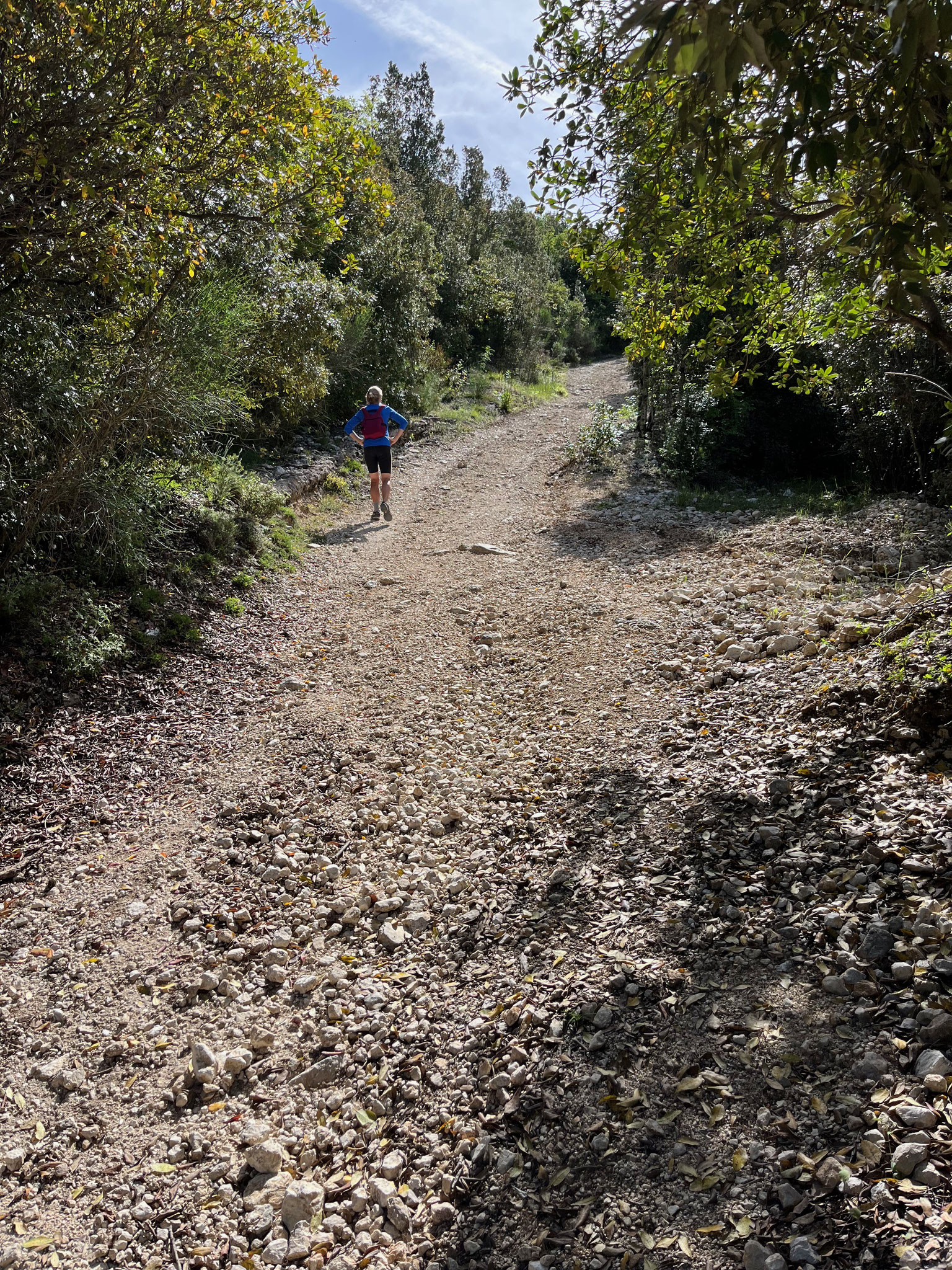 Der Wanderweg ist am Anfang ziemlich steil, bis 20%, und treibt mir den Schweiss aus den Poren.