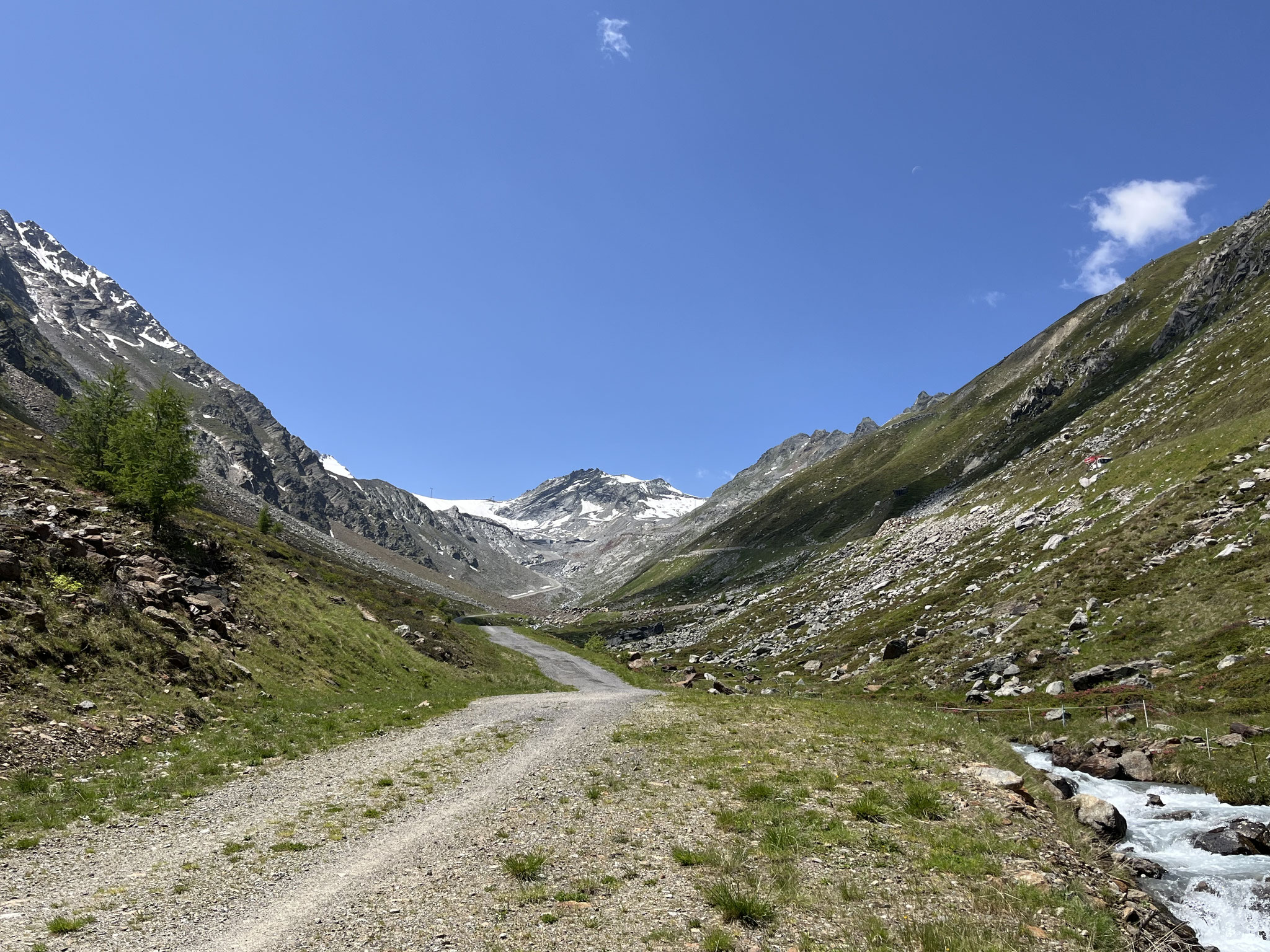 Danach wandern wir ein Stück das Gletschertal des Rettenbachgletschers hoch. Hier wächst nicht mehr viel!