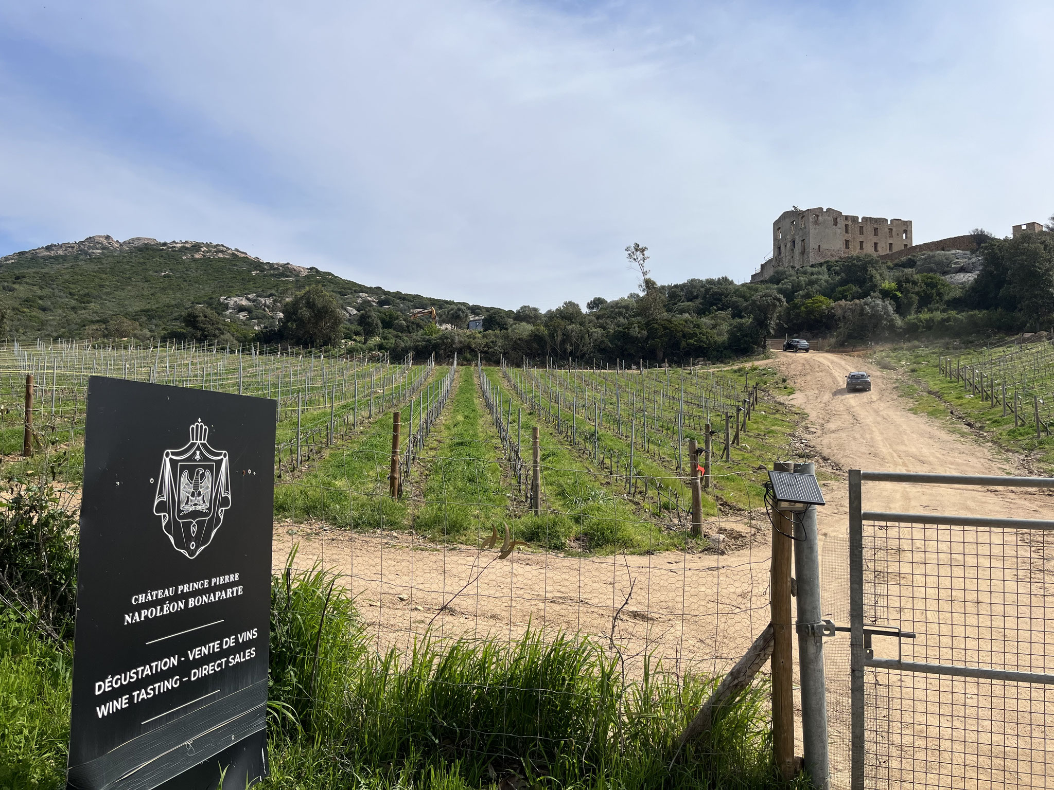 … und um ein verfallenes Bonaparteschloss wird sogar Wein angebaut und verkauft.
