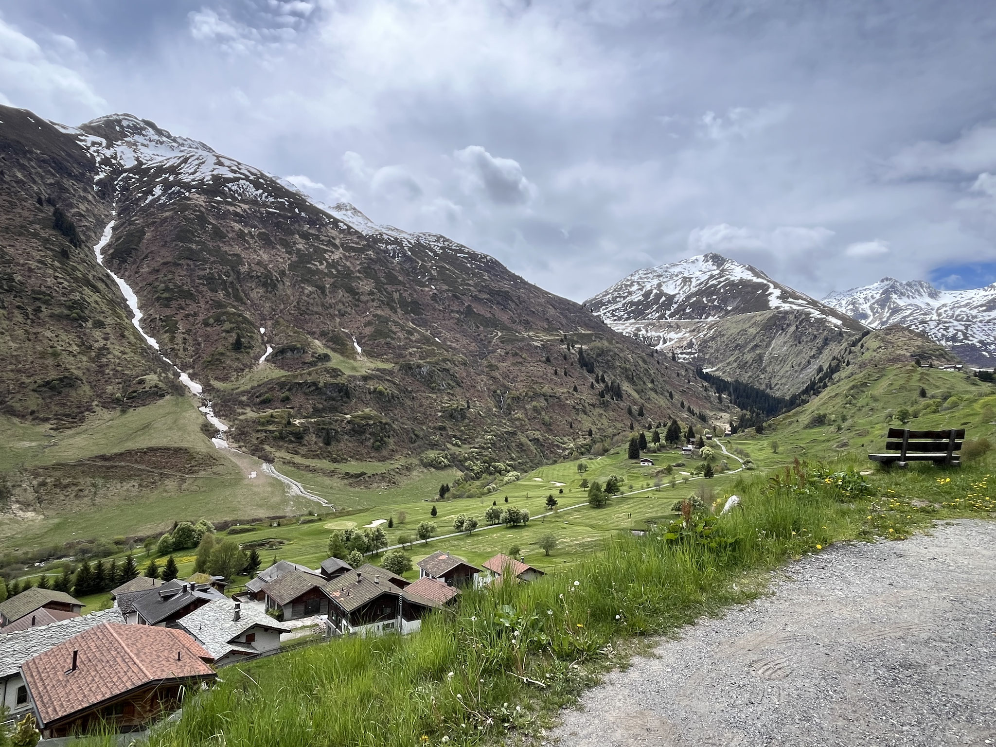 Die Landschaft wird grüner und blühender und …