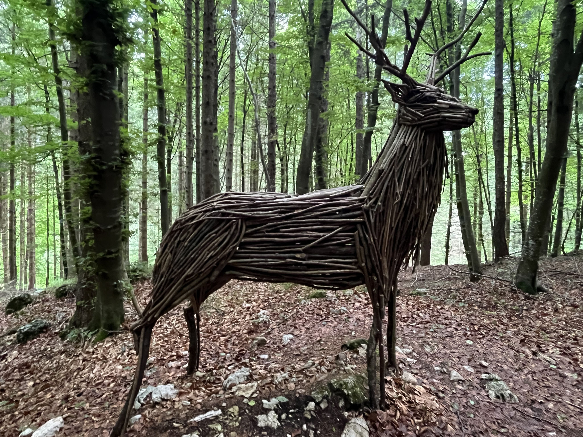 ... Kunst betrachten ...
