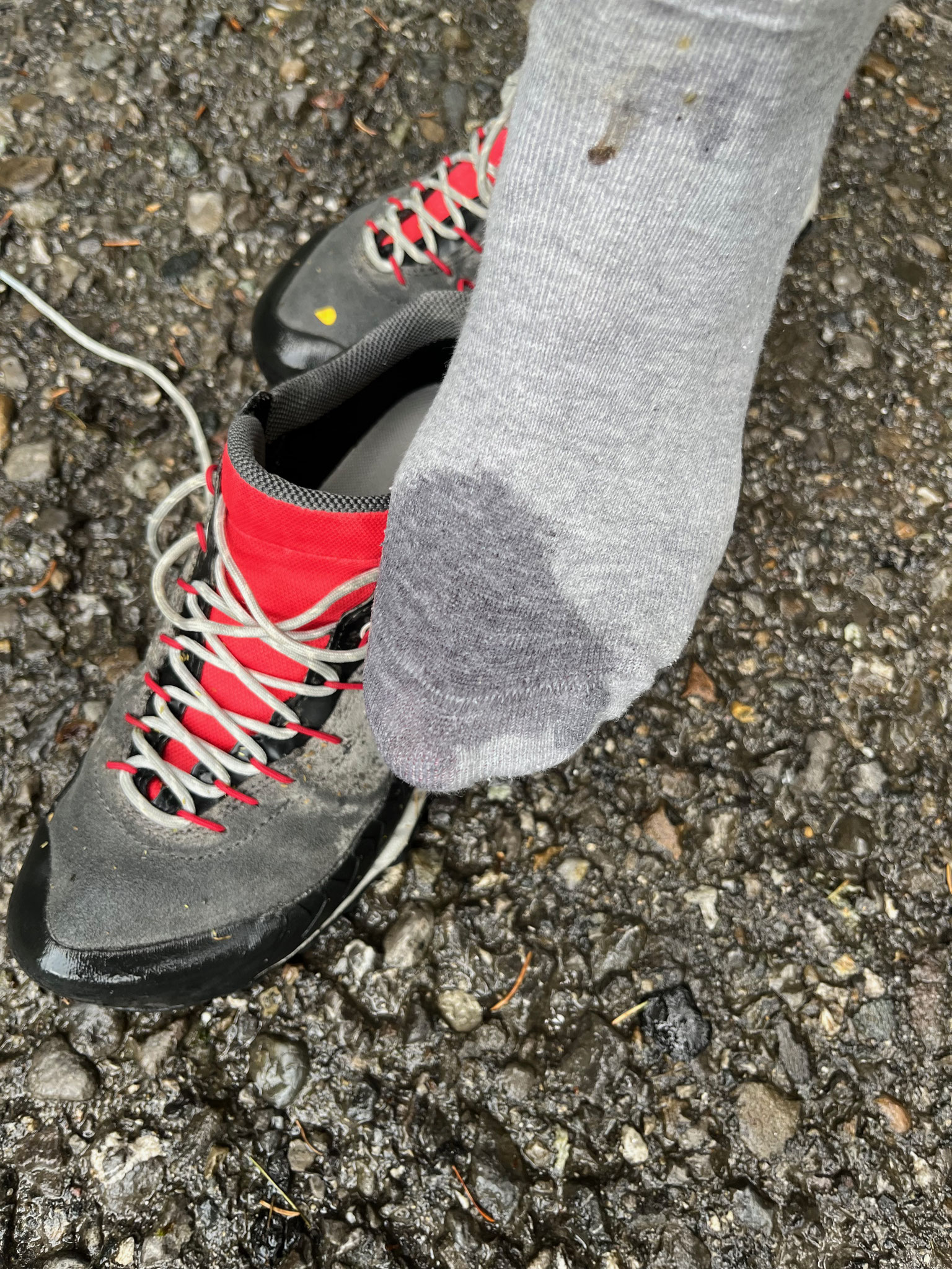 Die Wiese ist so nass, dass selbst ein fast neuer Core-Tex-Schuh kapitulieren muss. Das regt uns schon ziemlich auf, dass so ein teurer Schuh so schnell Wasser durchlässt.