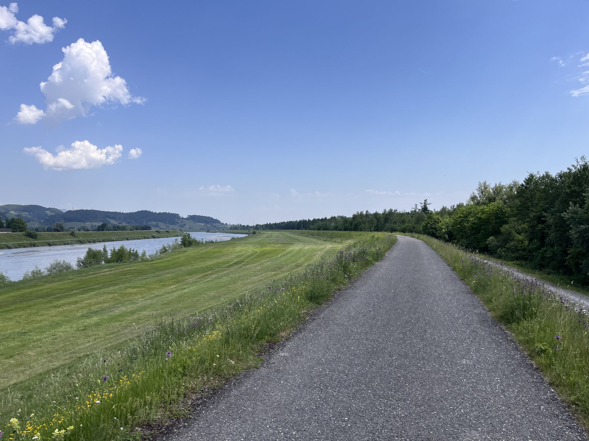 Wir fahren meistens auf der rechten Rheinseite, überqueren die Rheinzuflüsse Ill und Frutz.