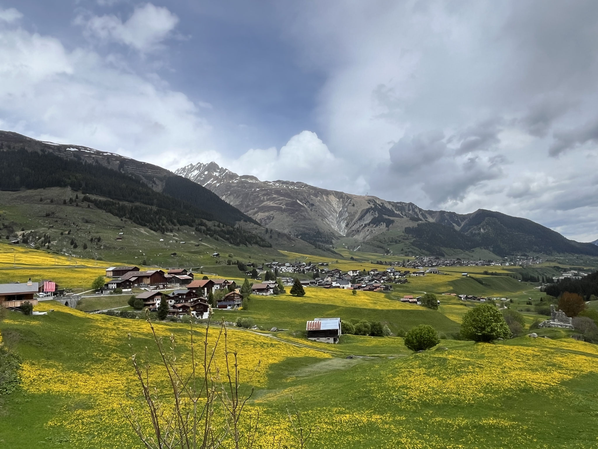 … in Sedrun tauchen wir in den warmen, blühenden Frühsommer ein.